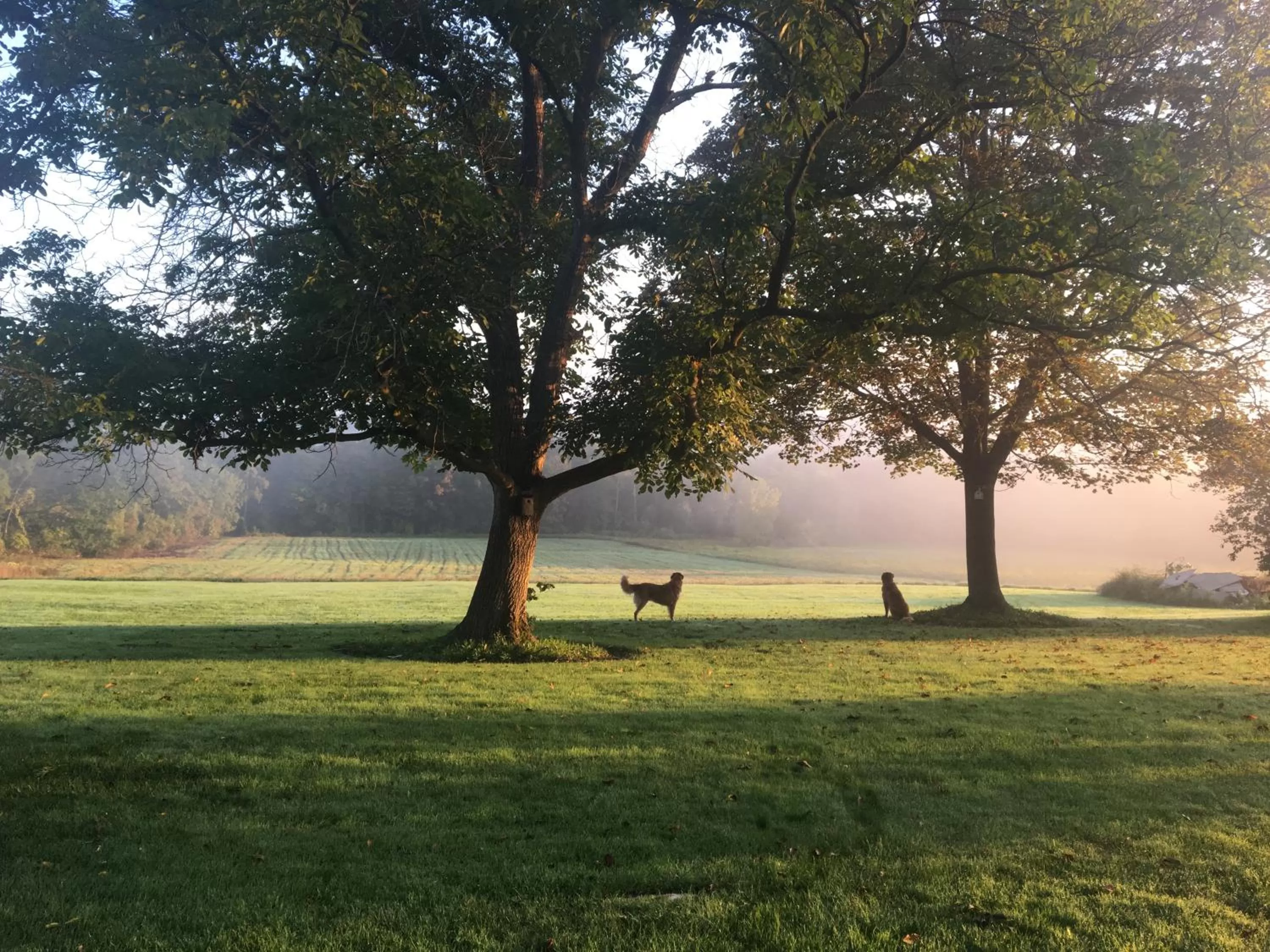 Garden view in Enfield Manor Bed&Breakfast and Vacation Rental