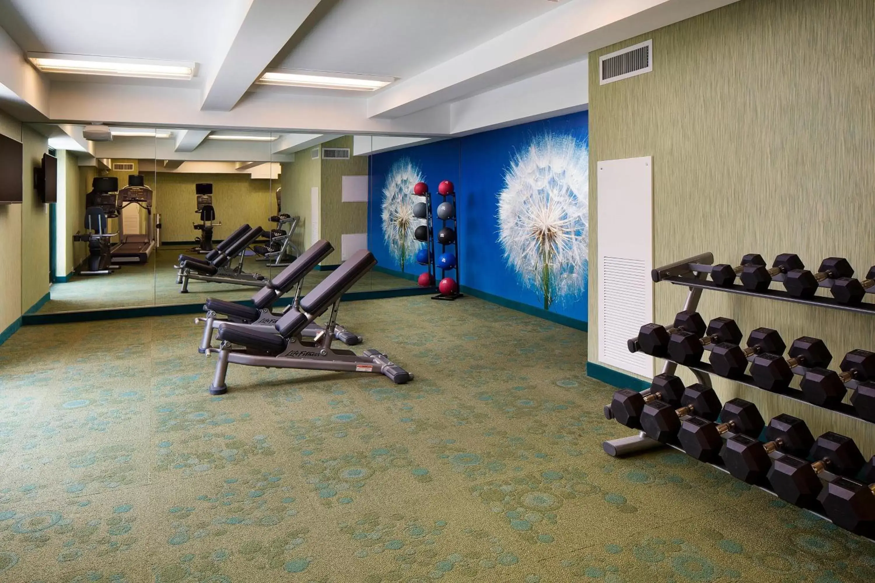 Fitness centre/facilities, Fitness Center/Facilities in SpringHill Suites by Marriott Houston Downtown/Convention Center