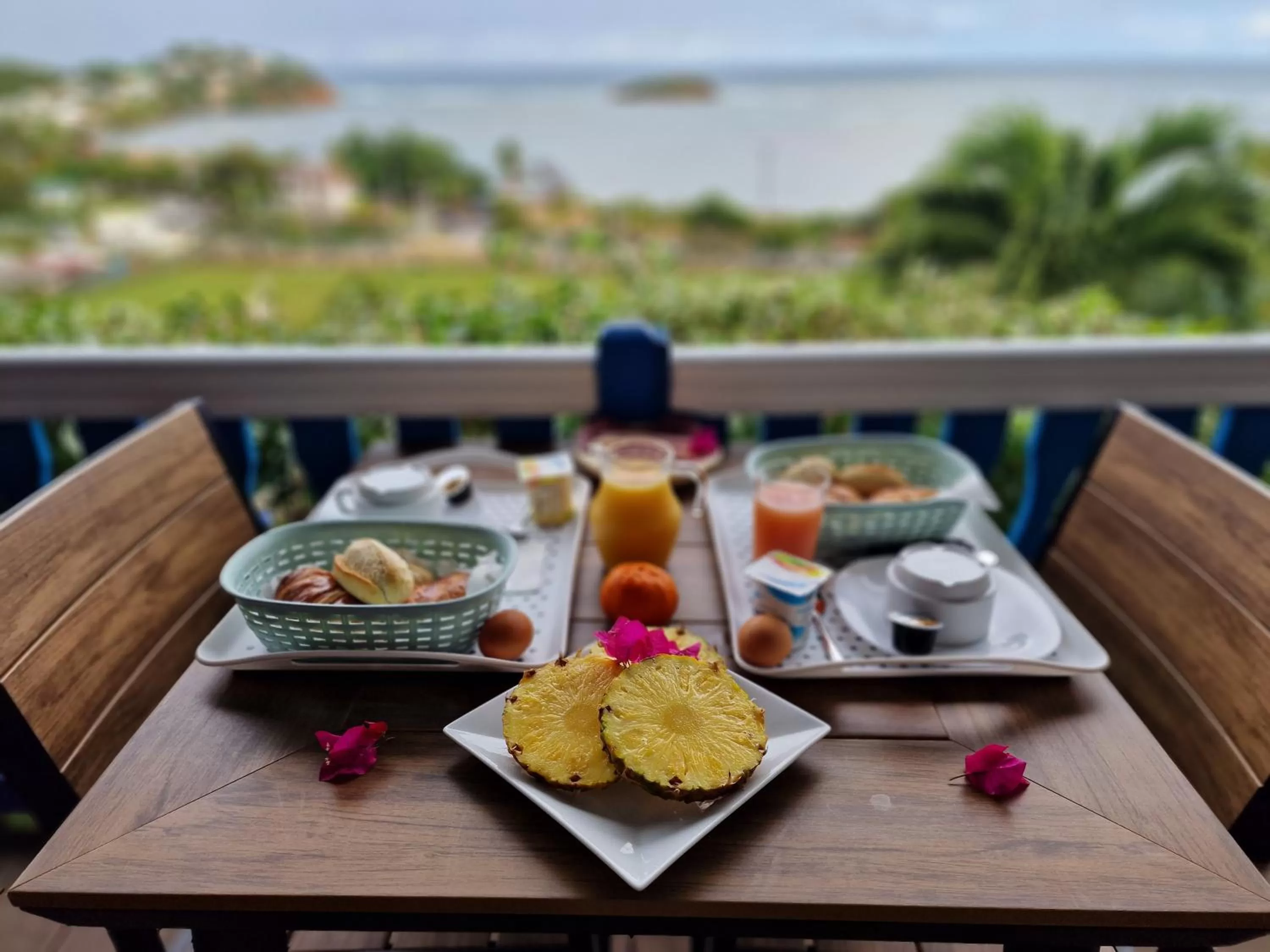 Balcony/Terrace in Hotel Le Manguier
