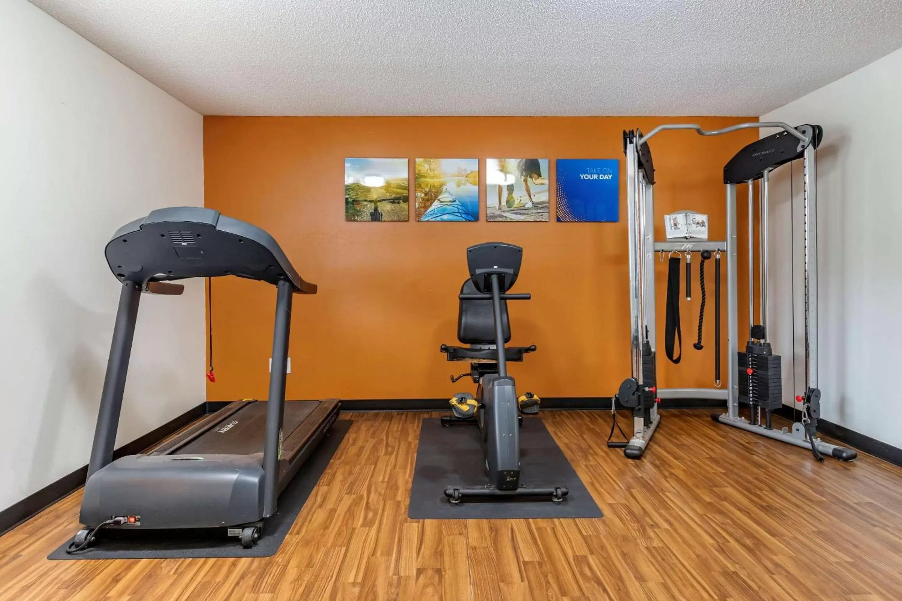 Fitness centre/facilities, Fitness Center/Facilities in Comfort Inn & Suites Dimondale