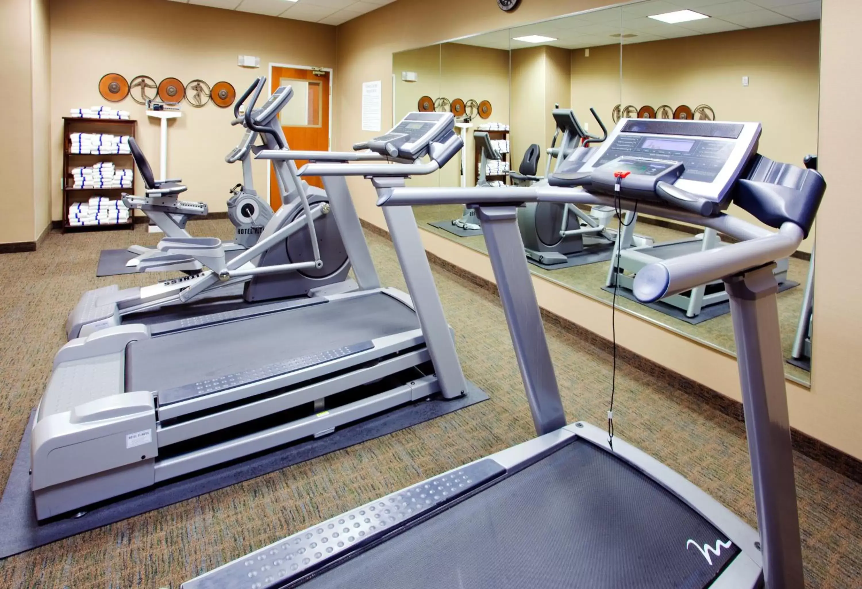 Fitness centre/facilities, Fitness Center/Facilities in Holiday Inn Express Hotel & Suites Mount Airy, an IHG Hotel