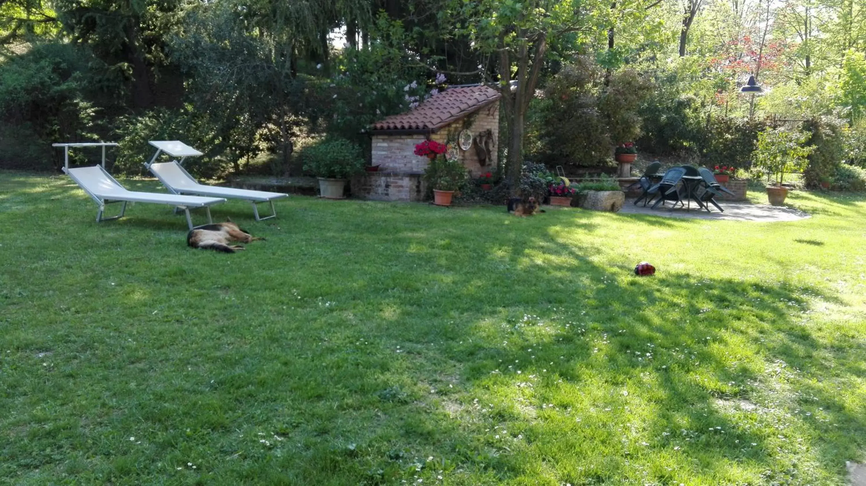 Garden in Casina Belvedere