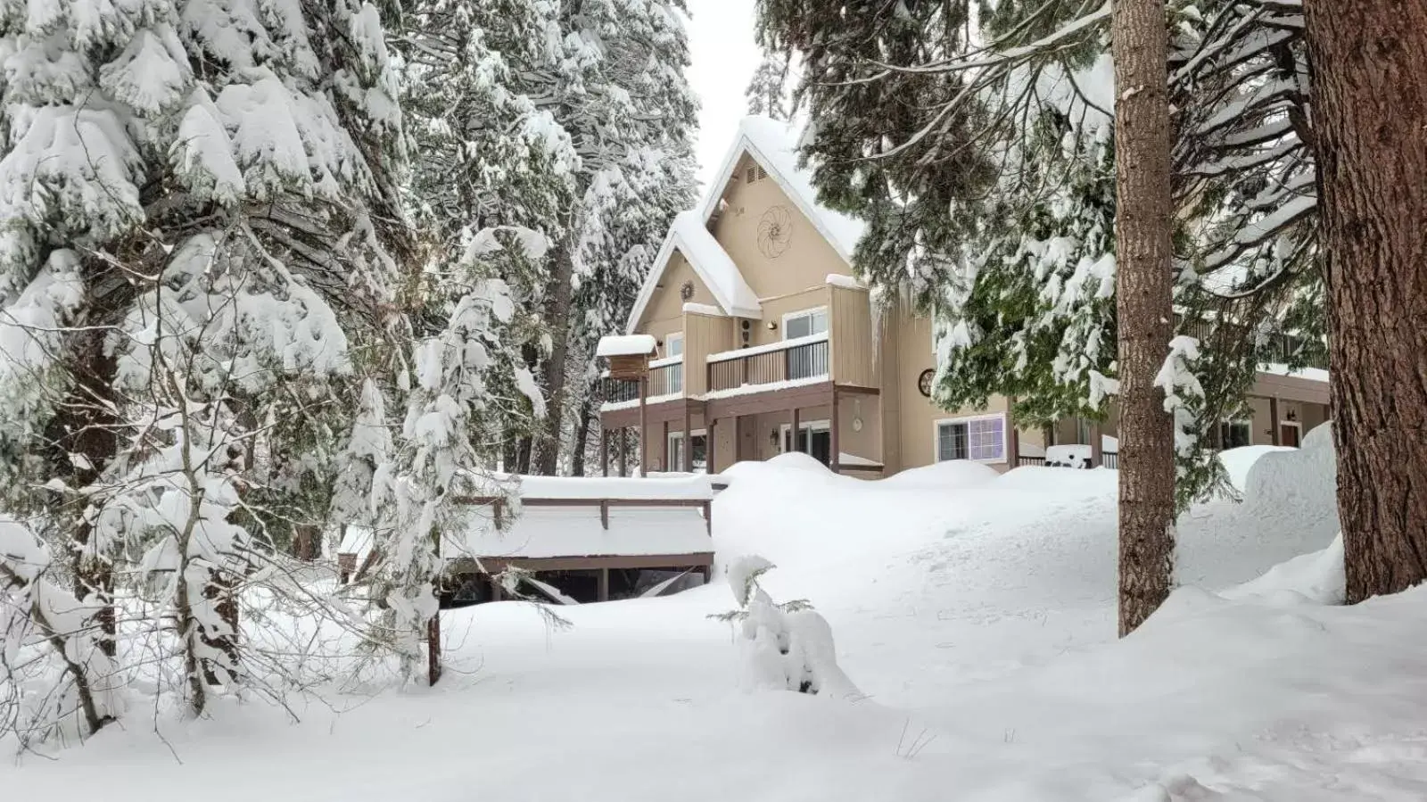 Property building, Winter in Big Creek Inn