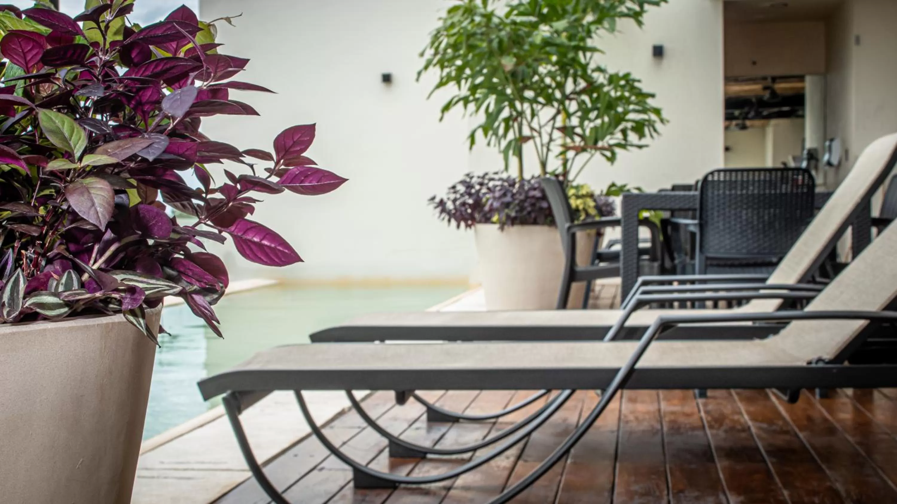 Swimming pool in Moonshine Tulum Hotel & Hostel