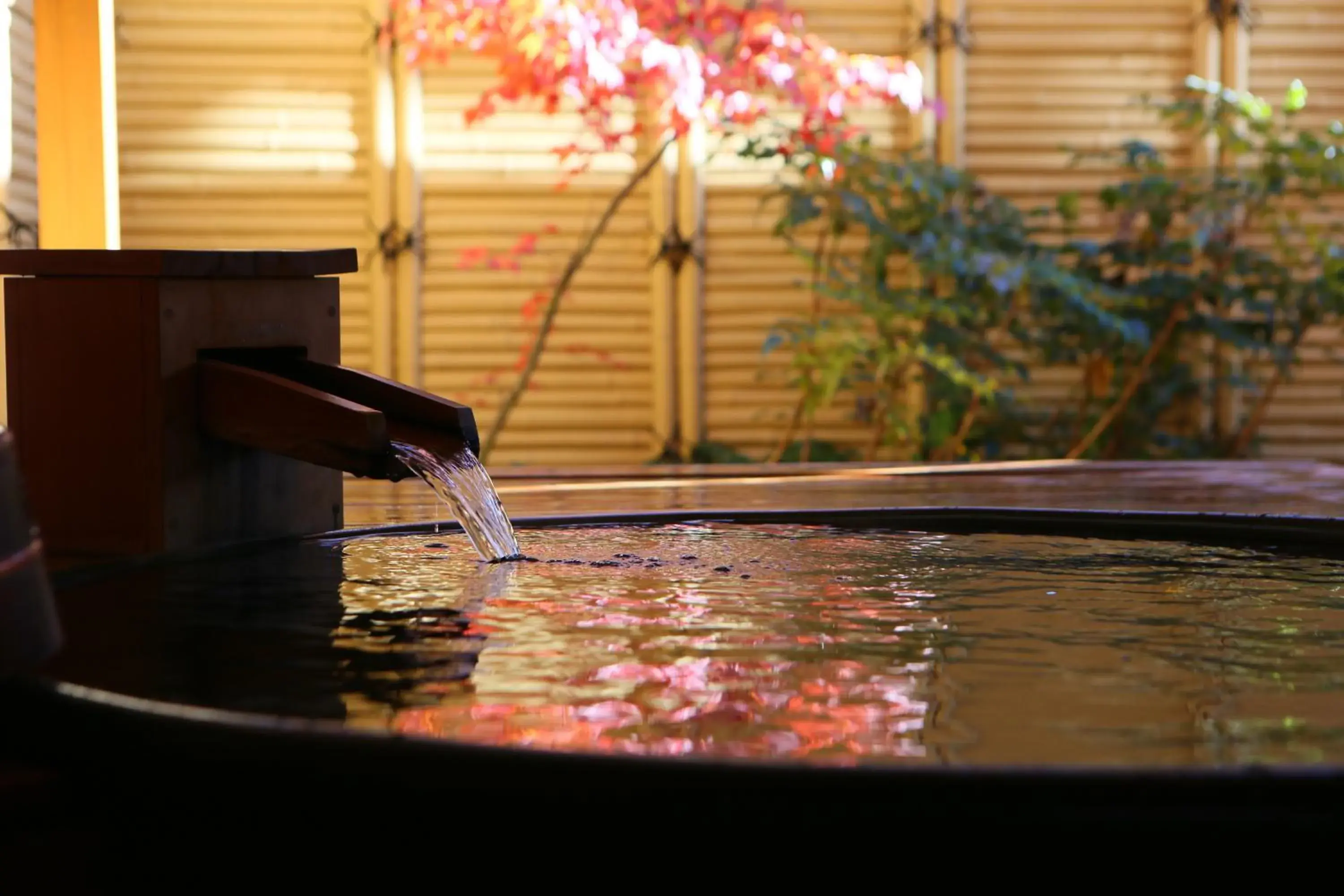 Hot Spring Bath, Swimming Pool in Hotel Tamanoyu