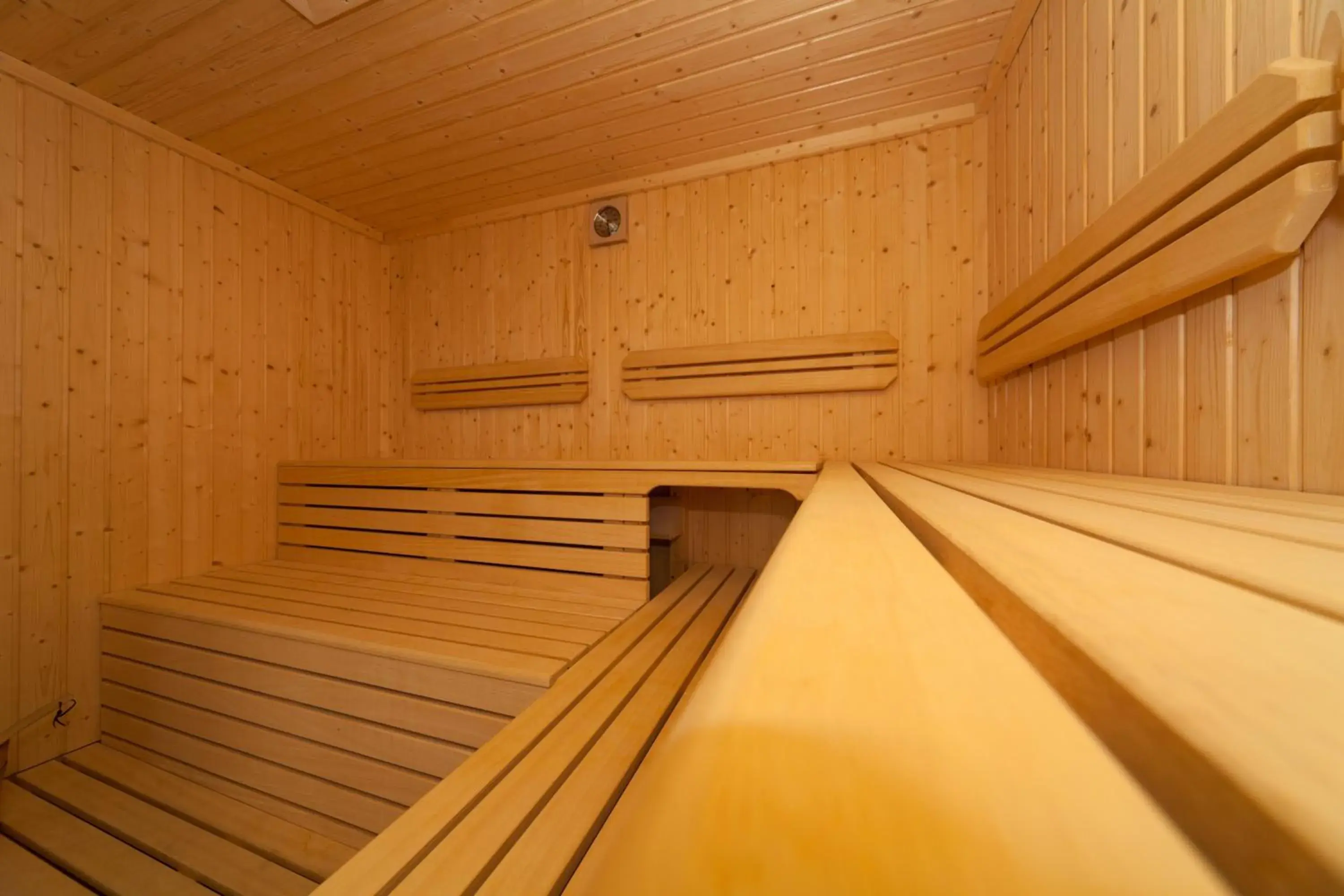 Sauna in RMH MODENA DES ARTS