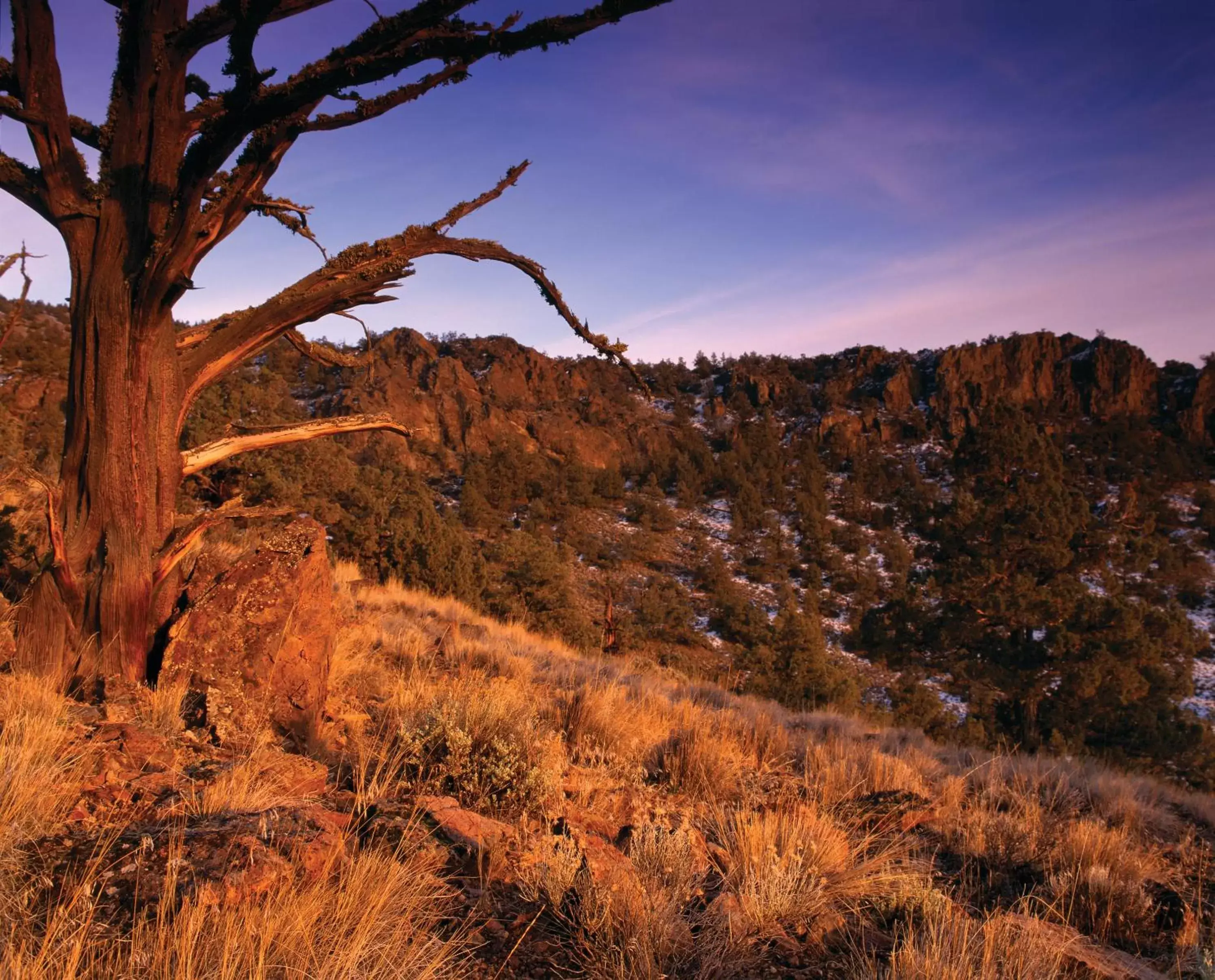 Natural Landscape in Brasada Ranch