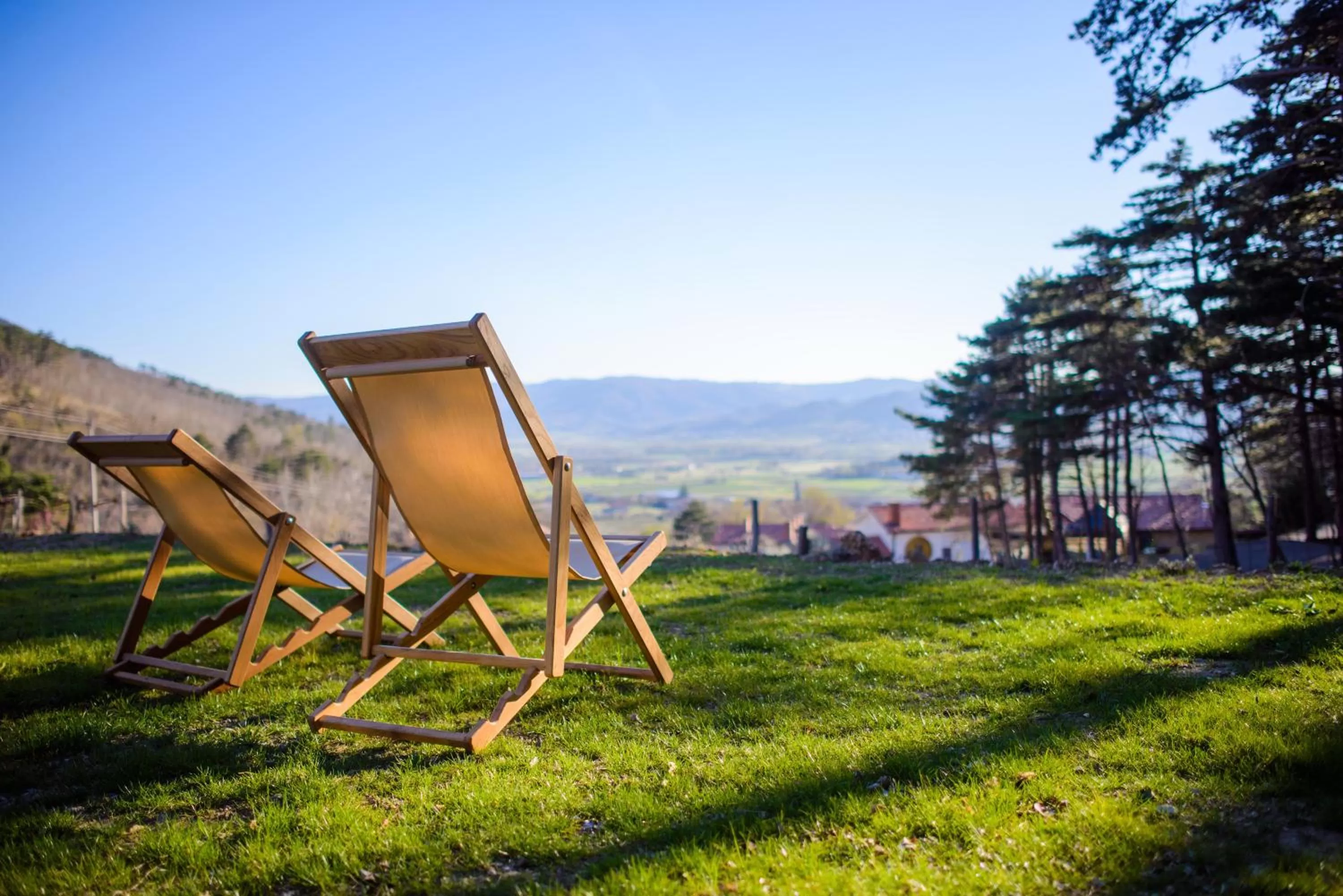 Natural landscape in Theodosius Forest Village - Glamping in Vipava valley