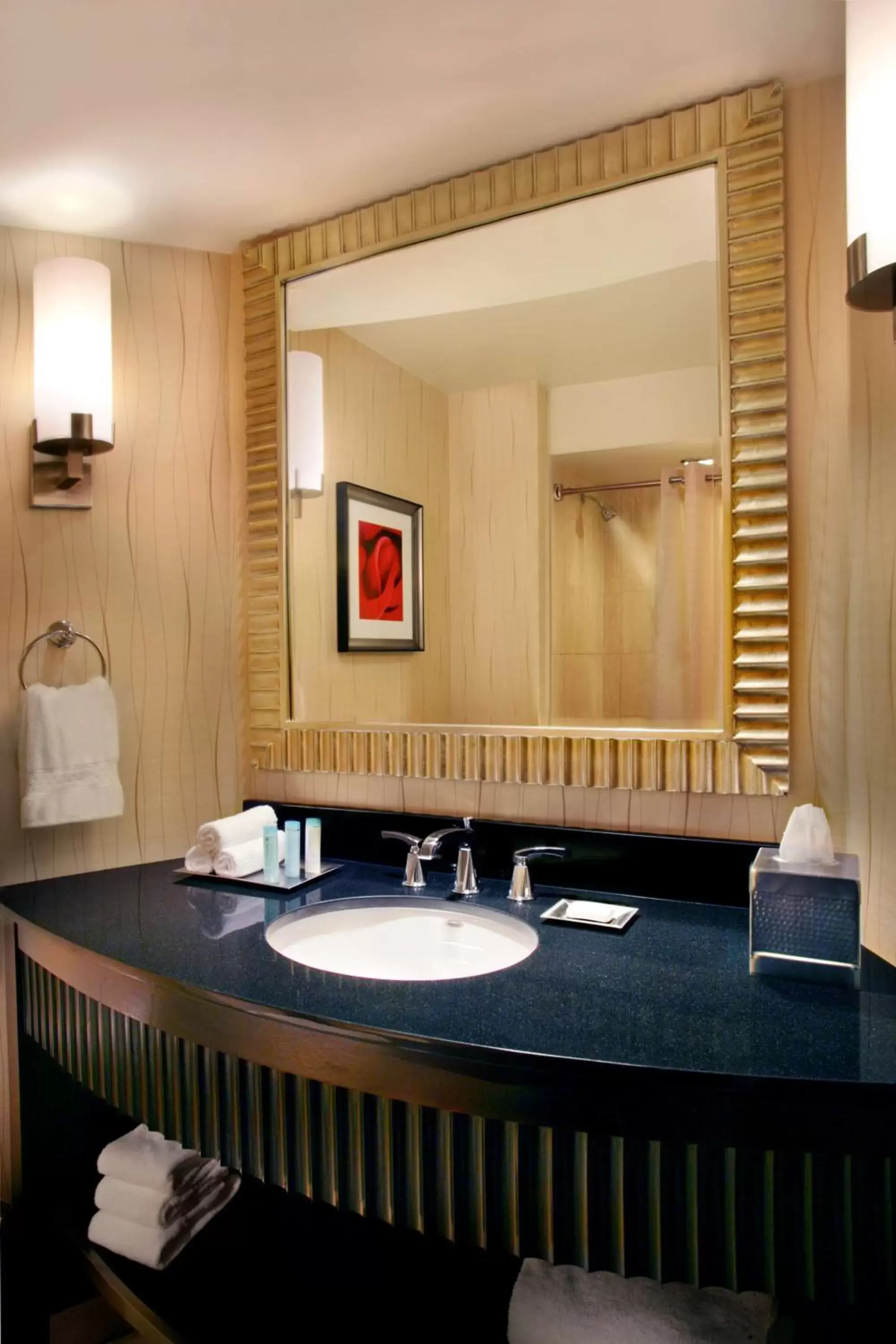 Bathroom in Hilton Rosemont Chicago O'Hare