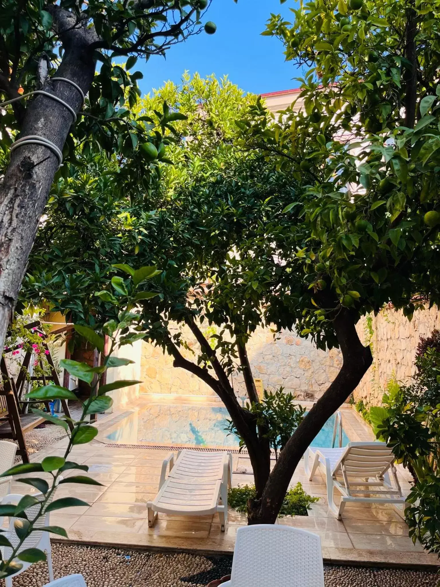 Garden view in Kaleici Hotel