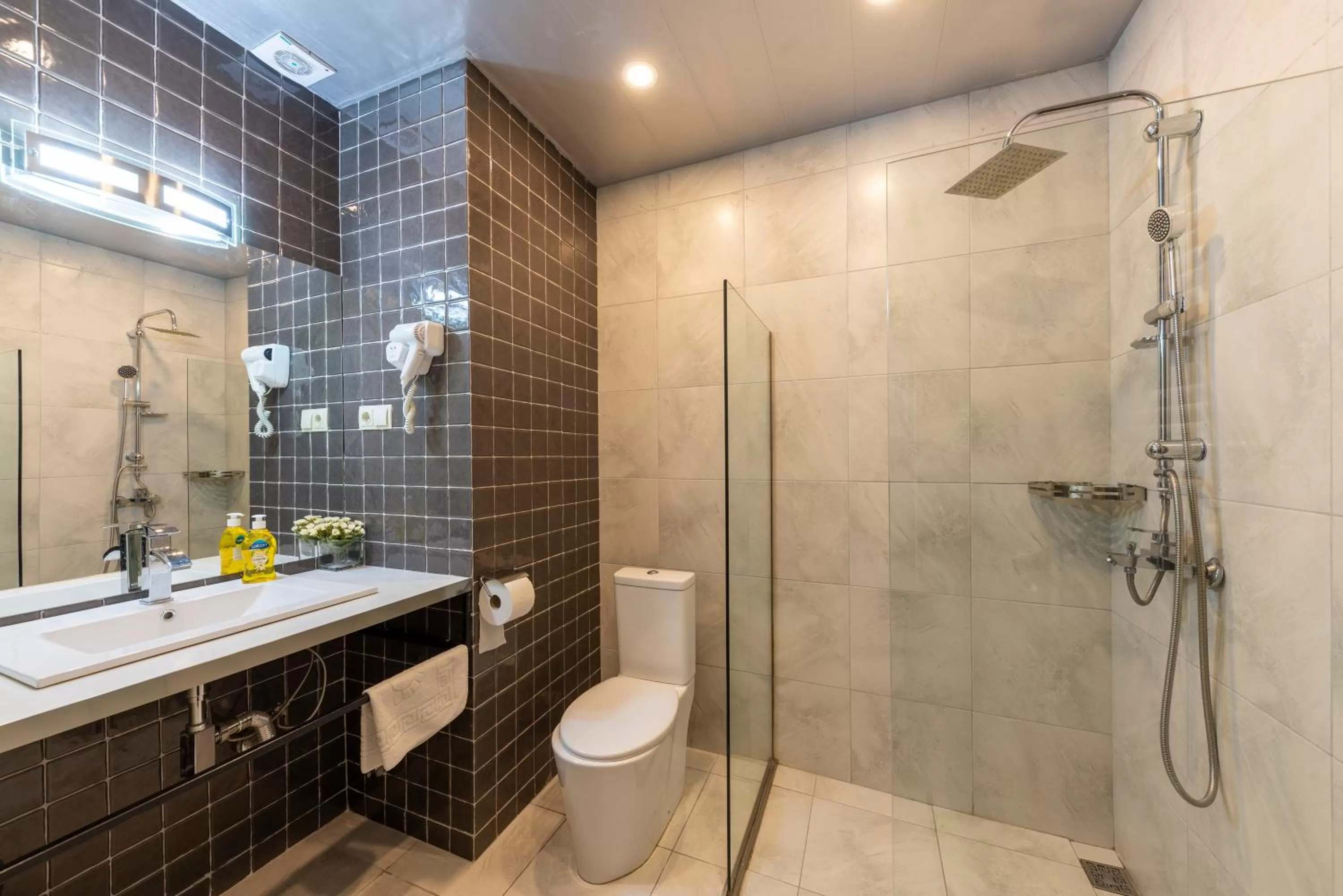 Shower in Sani Apart Hotel