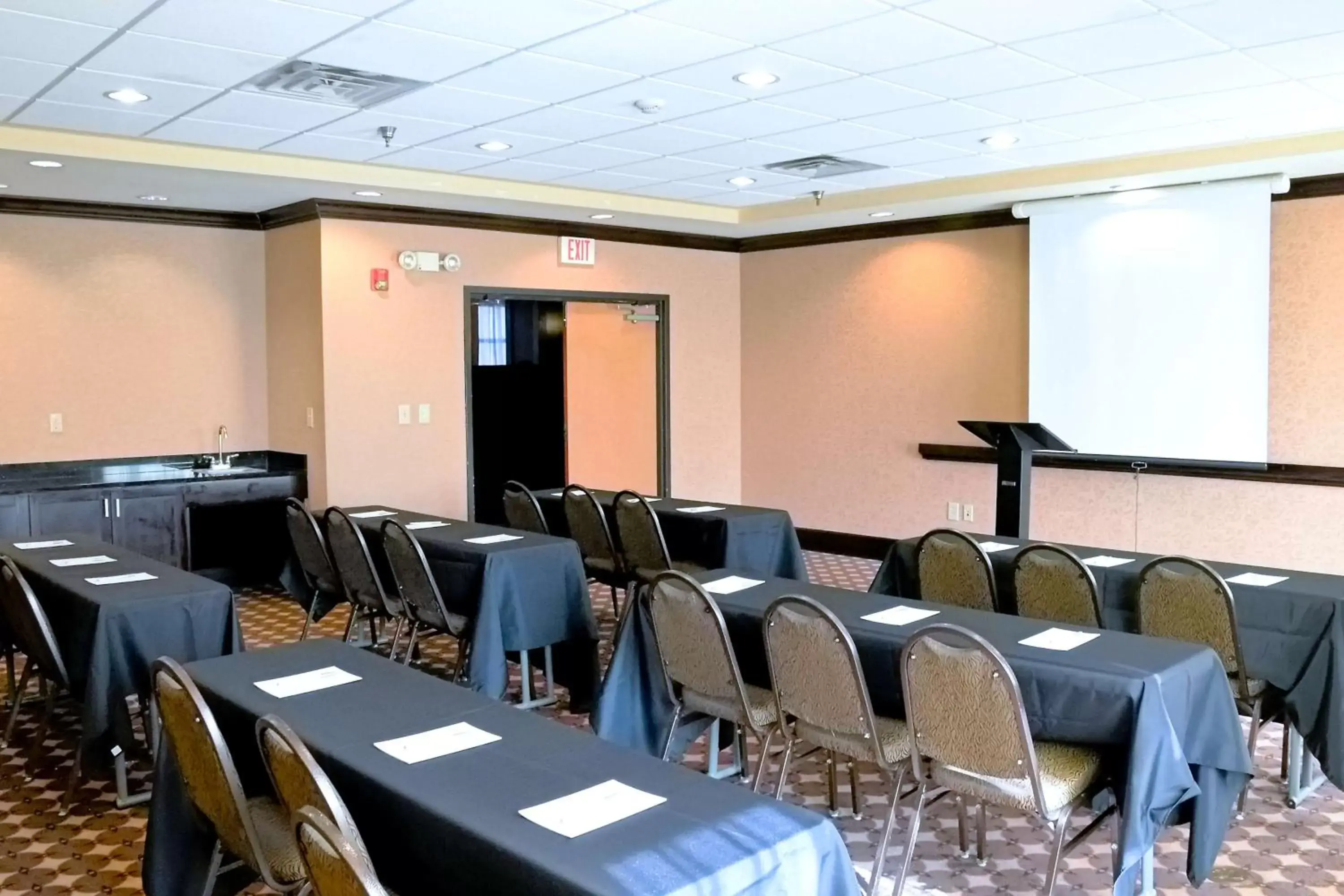 Meeting/conference room in Hampton Inn & Suites Birmingham-Pelham - I-65