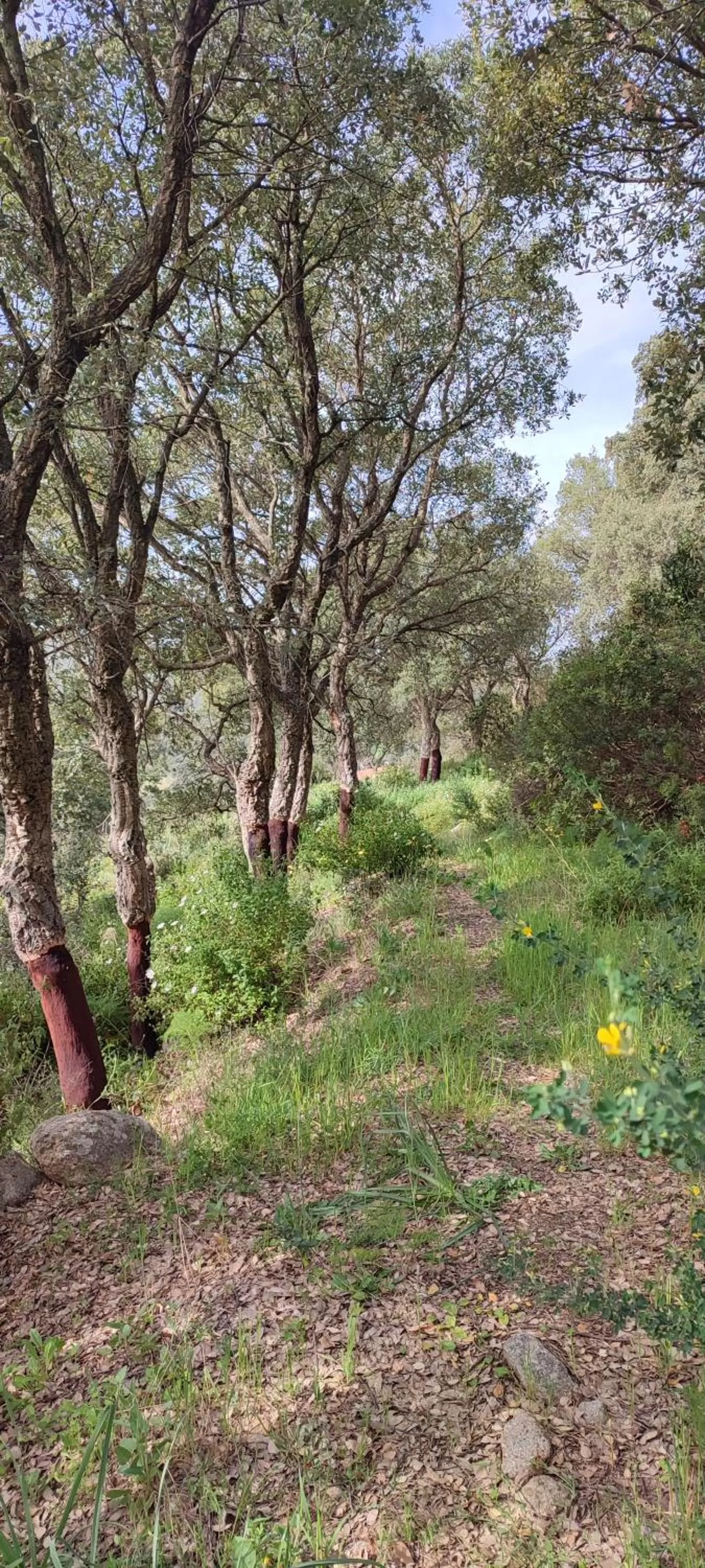 Natural landscape in Il Nuraghe