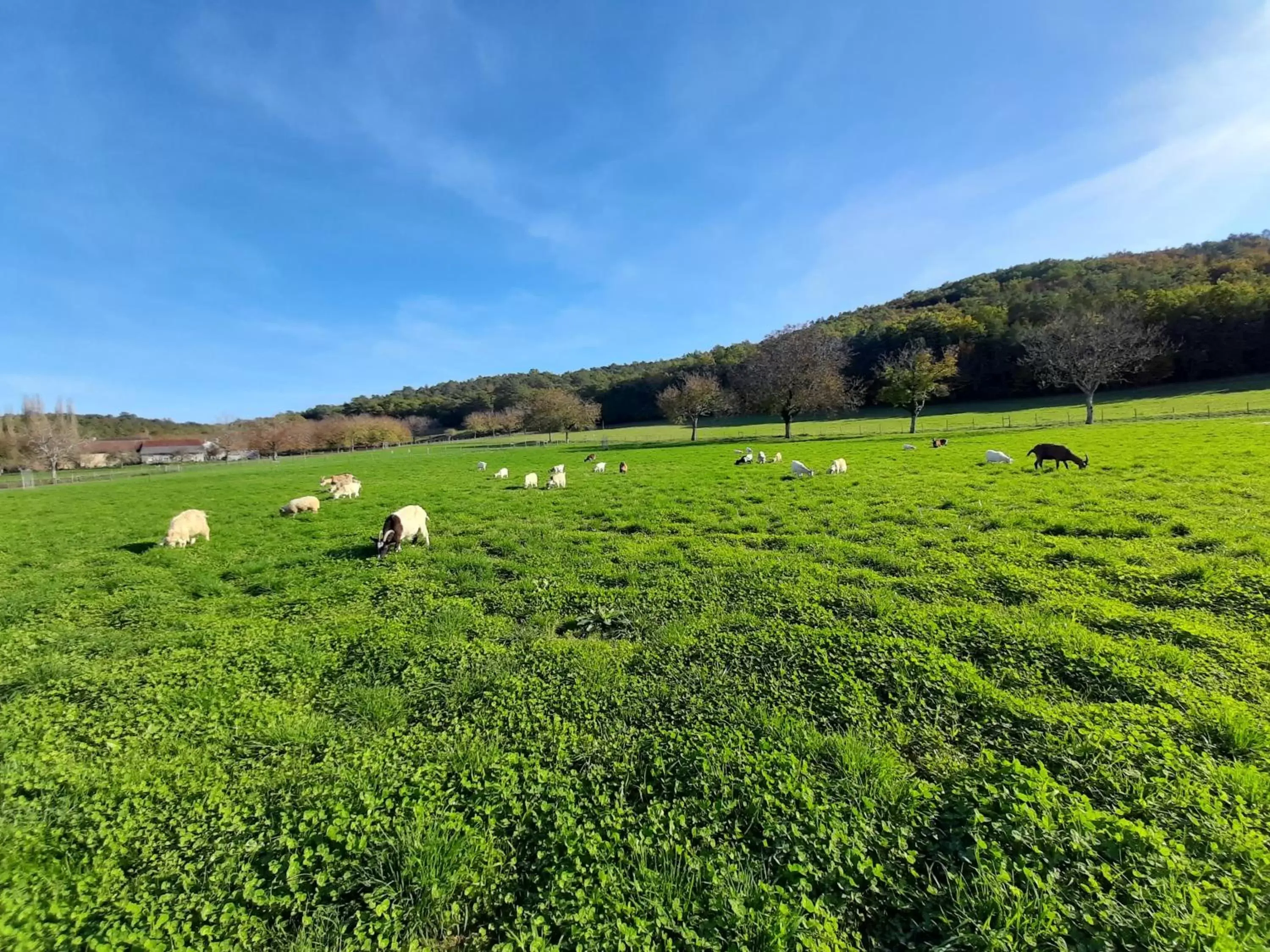 Pets, Natural Landscape in Ferme 4 étoiles avec piscine chauffée