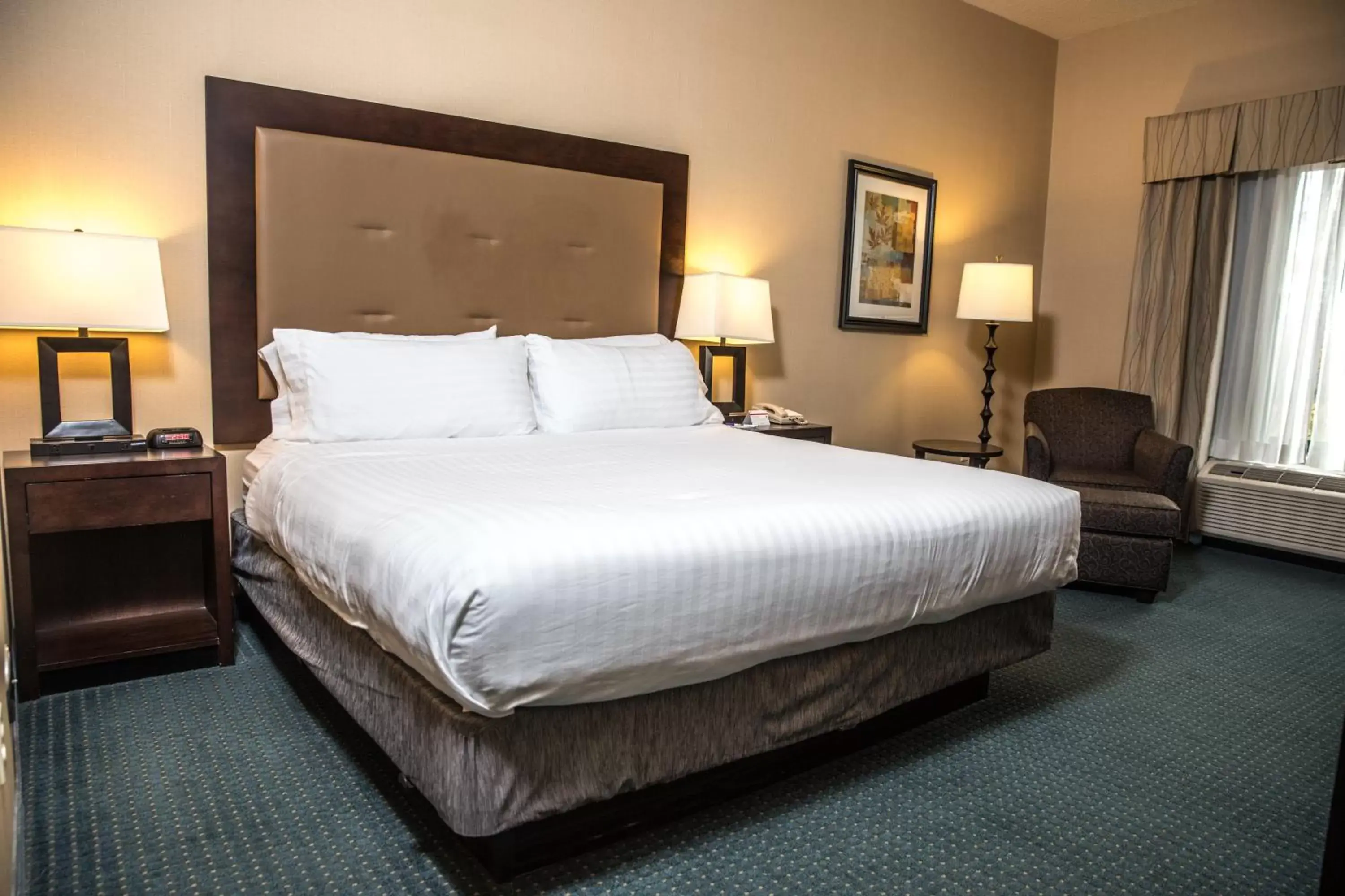 Photo of the whole room, Bed in Holiday Inn Express Hotel & Suites - Novi, an IHG Hotel