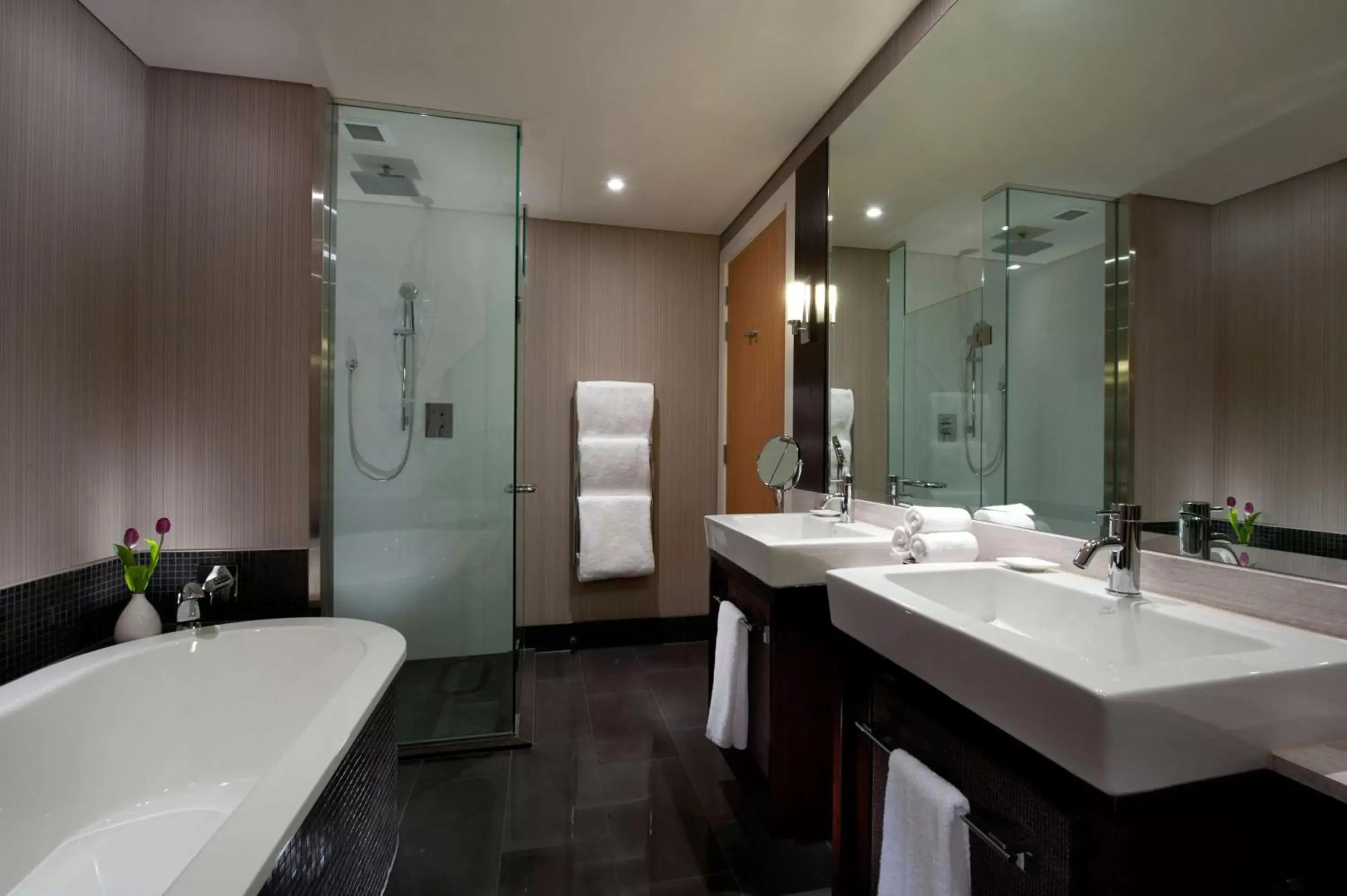 Bathroom in Hilton Queenstown Resort & Spa