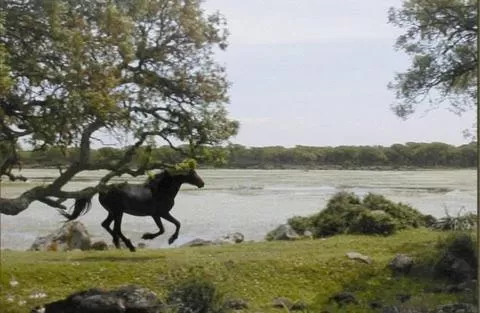 Natural landscape in La Peonia Boutique B&B
