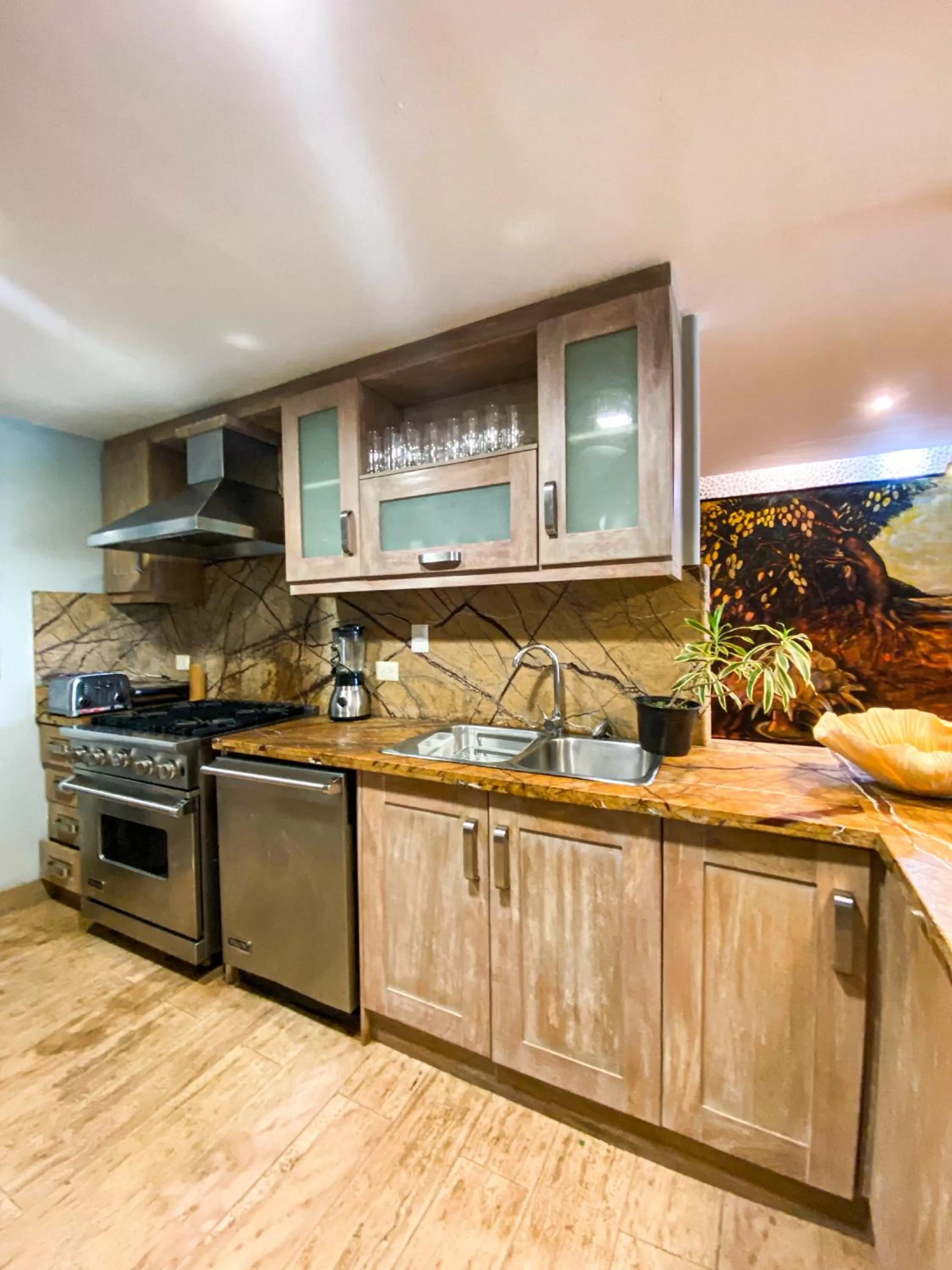 Kitchen or kitchenette in Xeliter Balcones del Atlantico - Las Terrenas