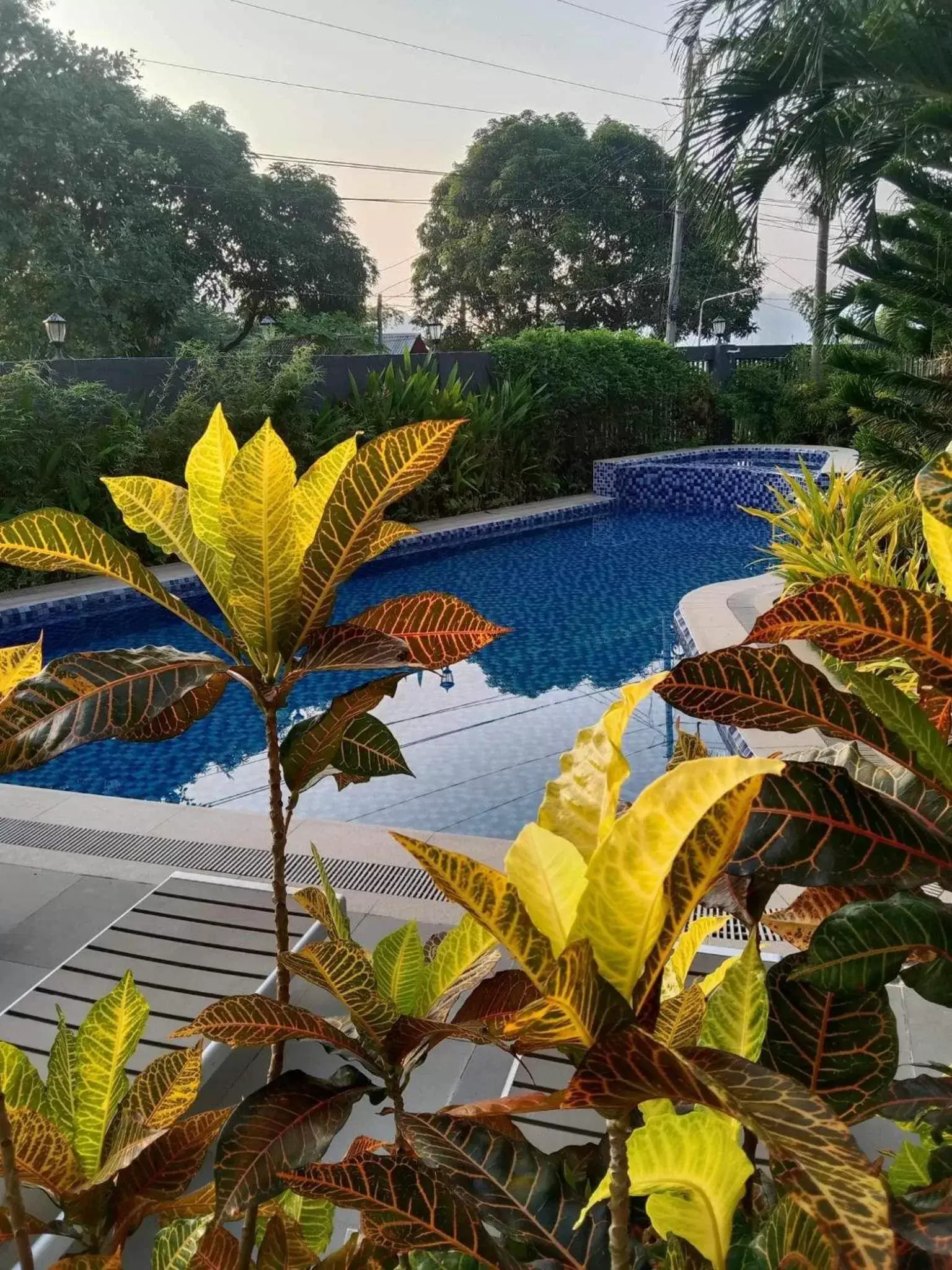 Swimming Pool in Vienna Hotel