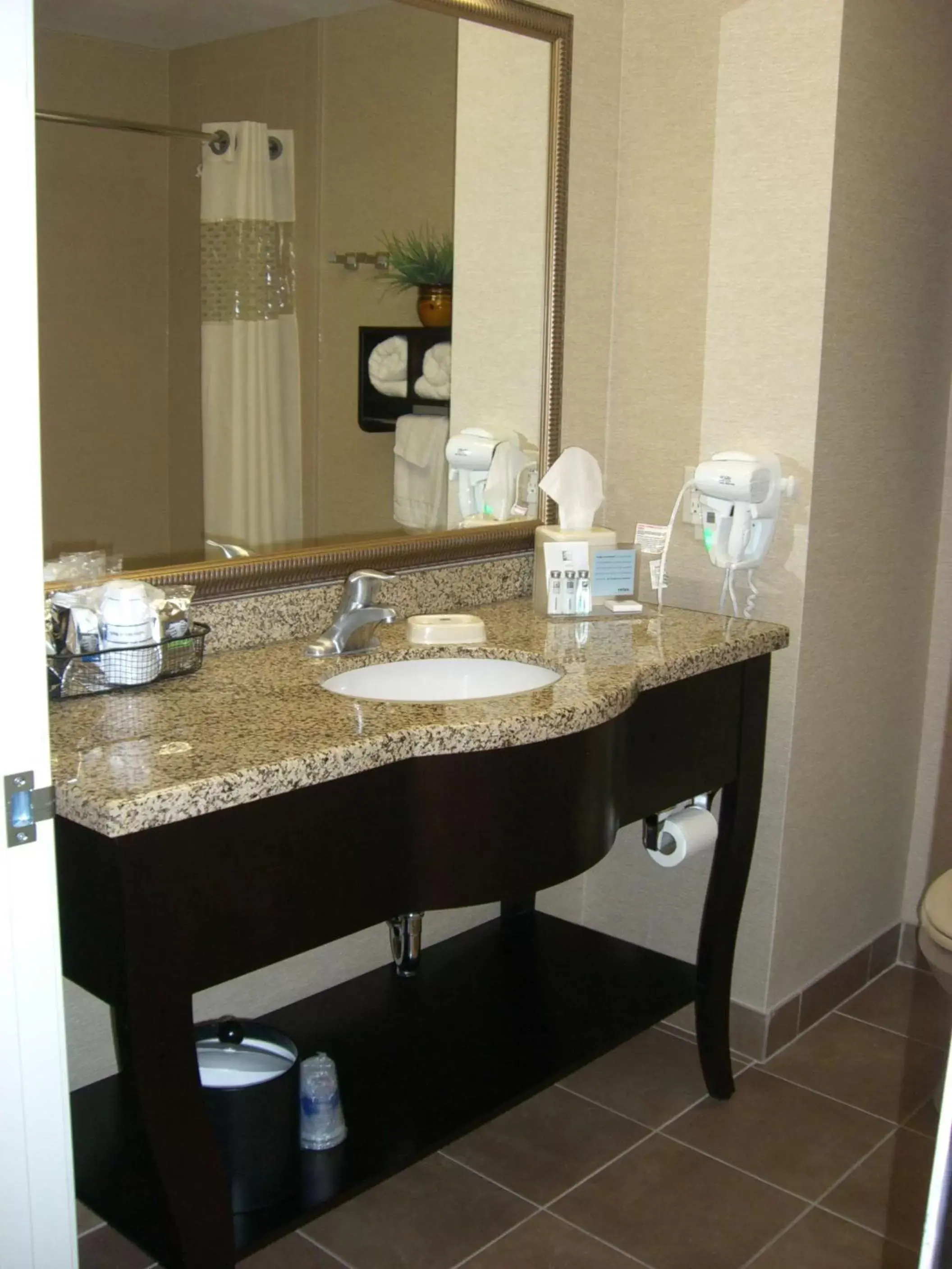 Bathroom in Hampton Inn and Suites Pueblo/North