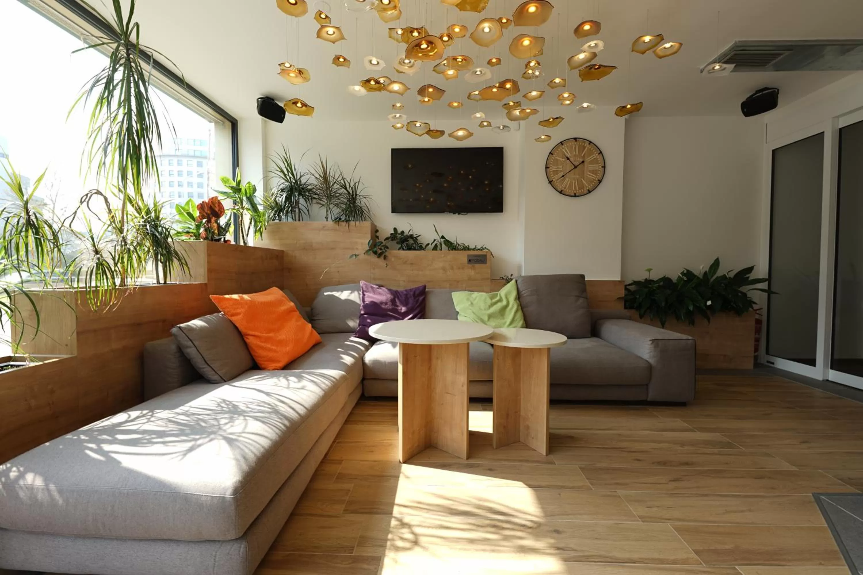 More Than Accommodation