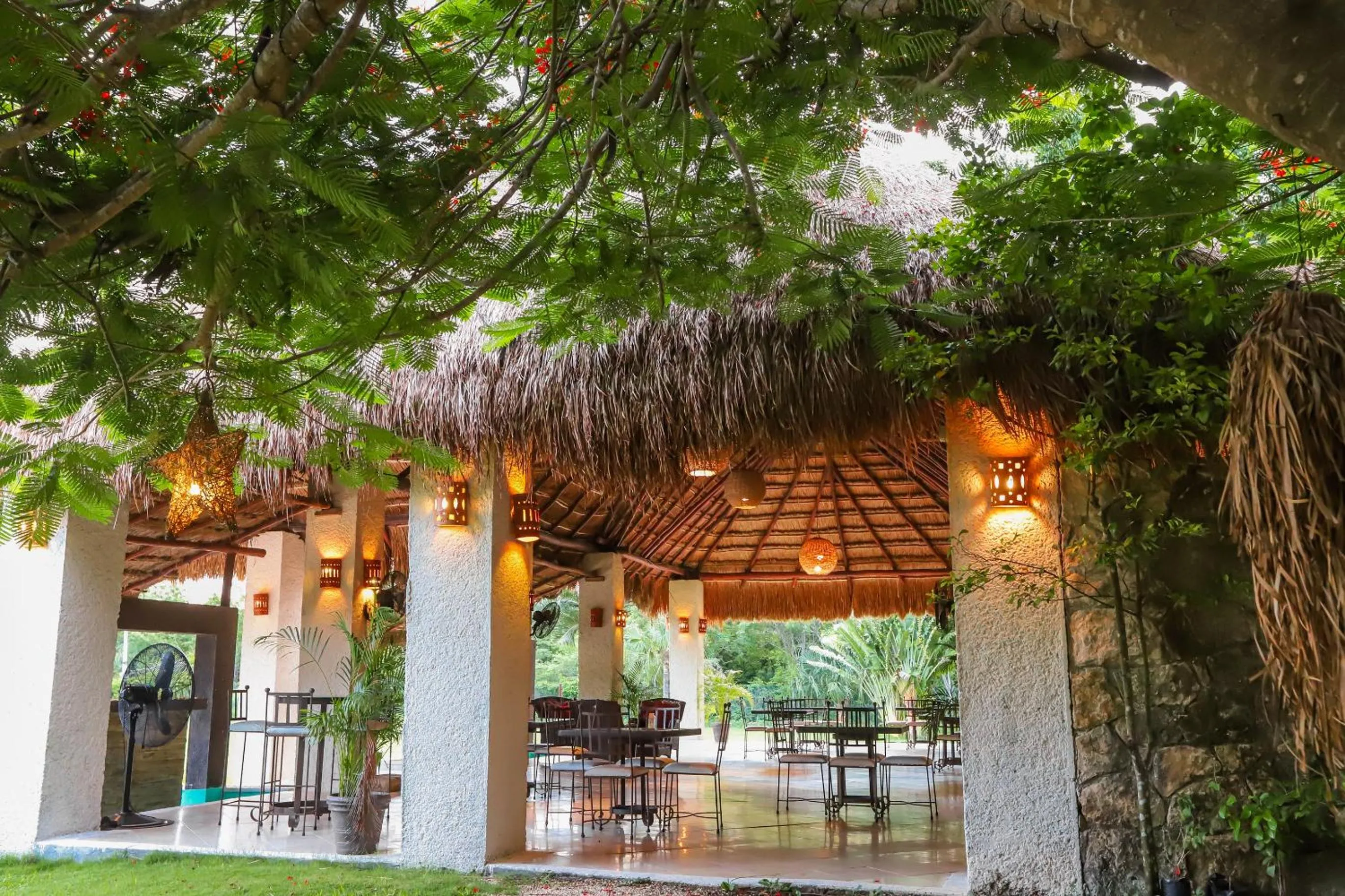 Restaurant/places to eat in Mayan Secret Hotel Boutique