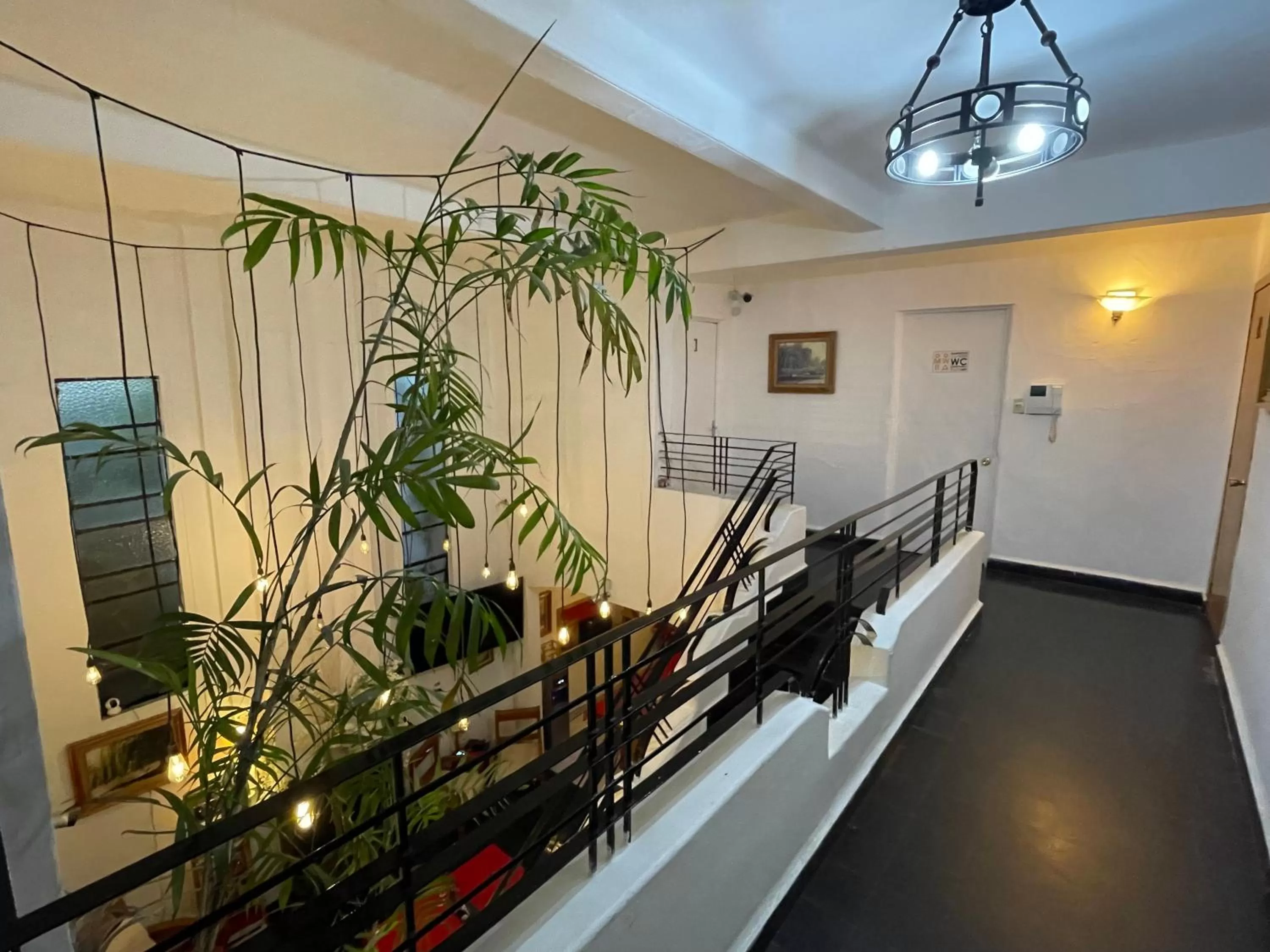 View (from property/room) in Hostal Roma Condesa