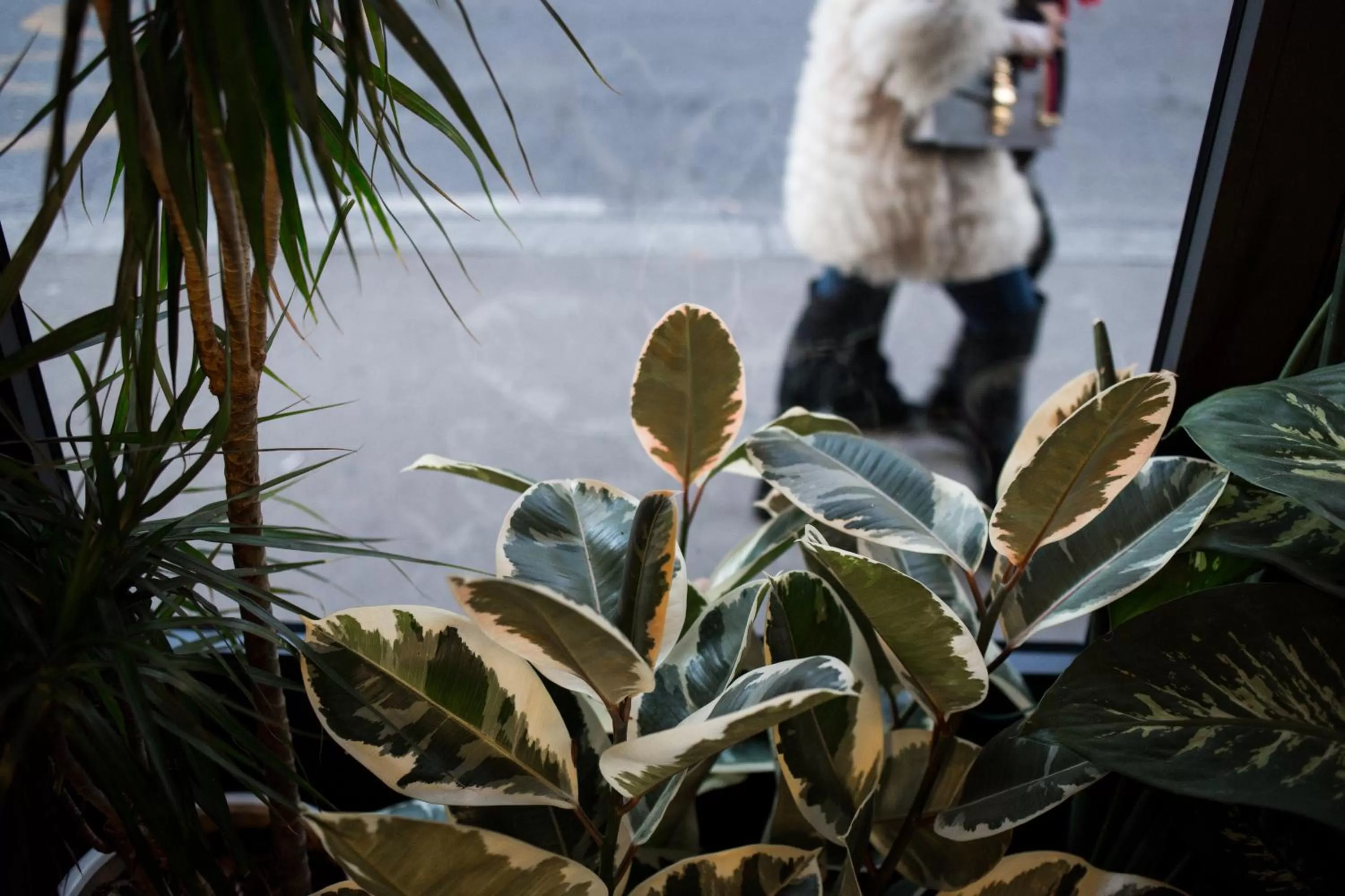Communal lounge/ TV room in c-hotels Joy