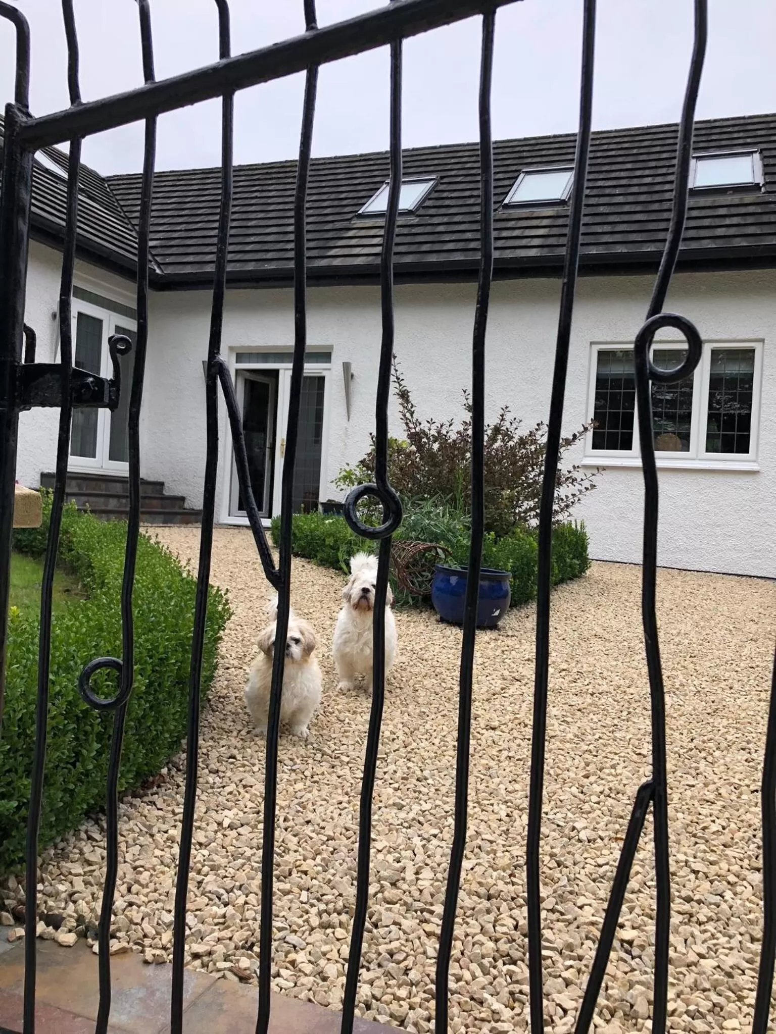Patio in Retreat at The Knowe Auchincruive Estate