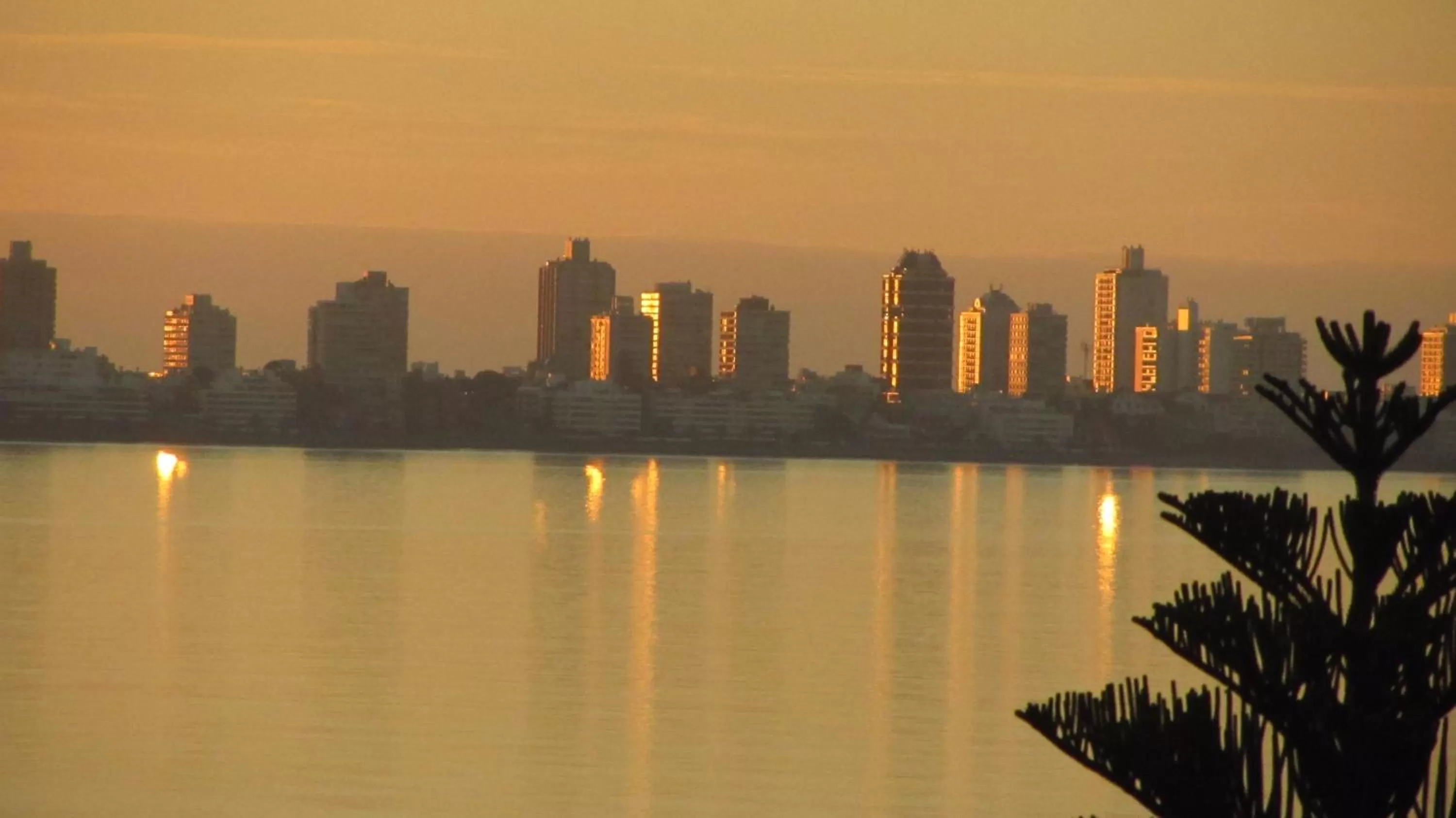 View (from property/room) in BDA Hotel & Spa