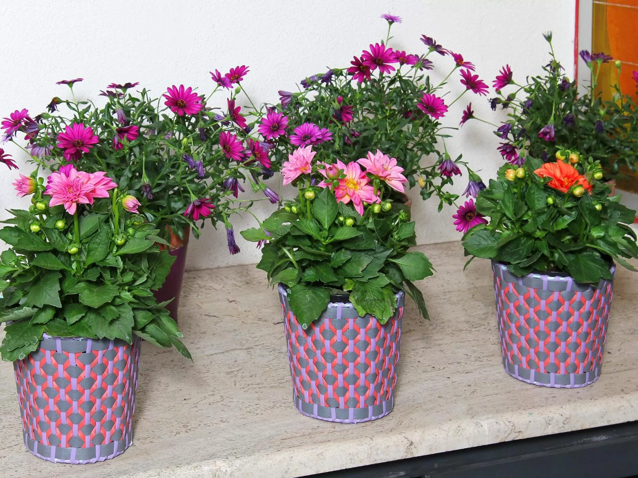 Other in Hotel Arcangelo