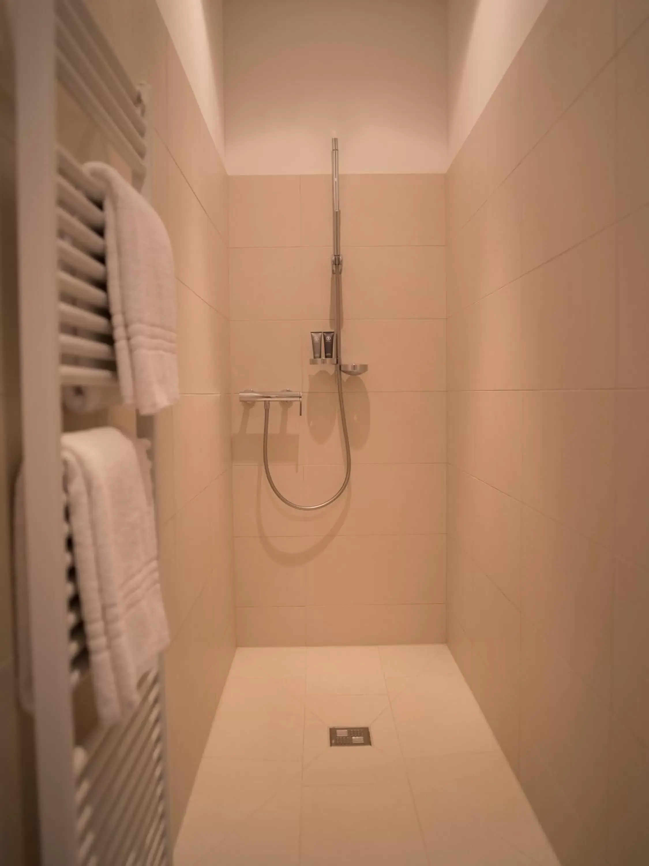 Shower, Bathroom in Hotel Edelweiss