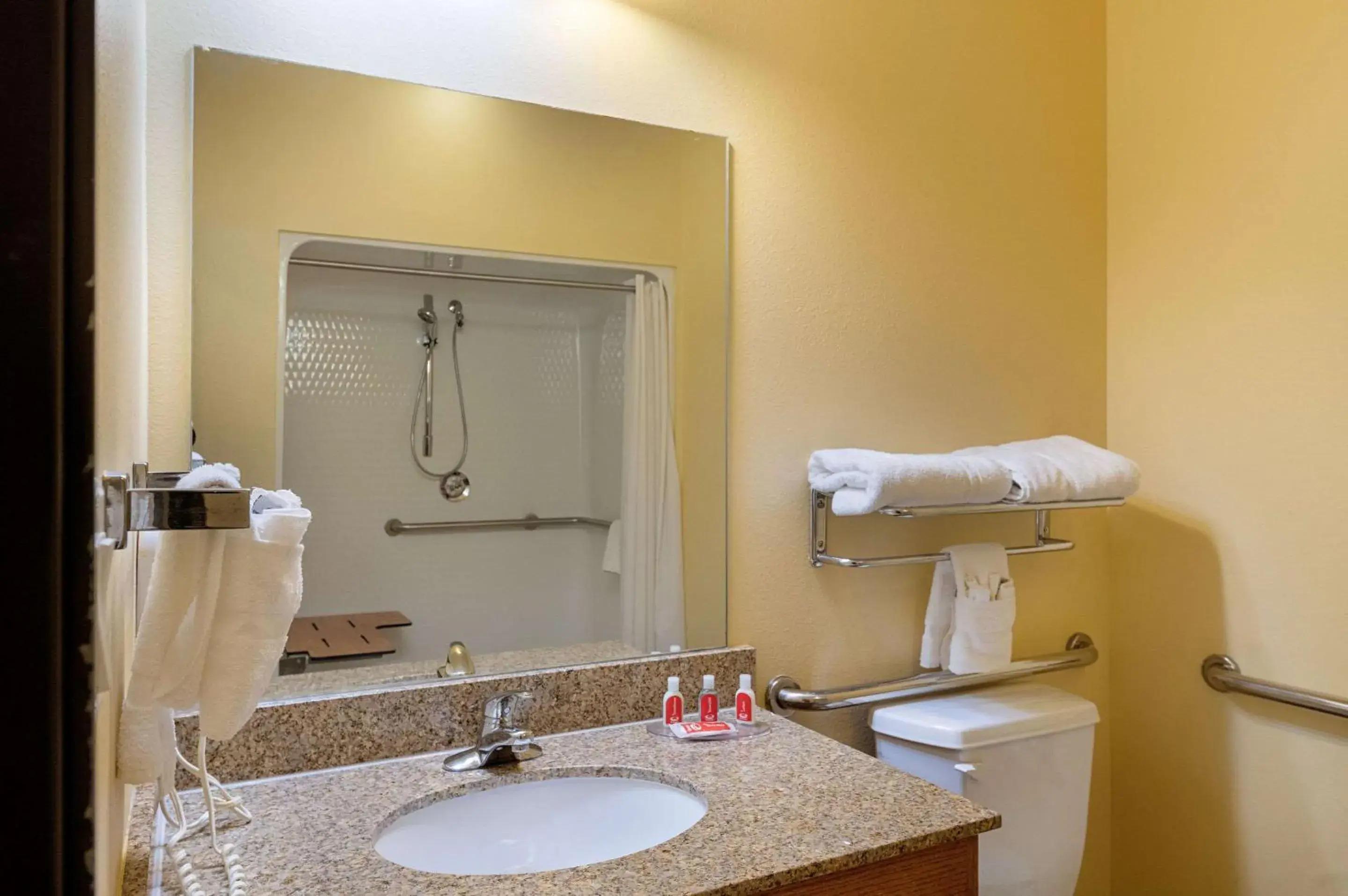 Bathroom in Econo Lodge Inn & Suites