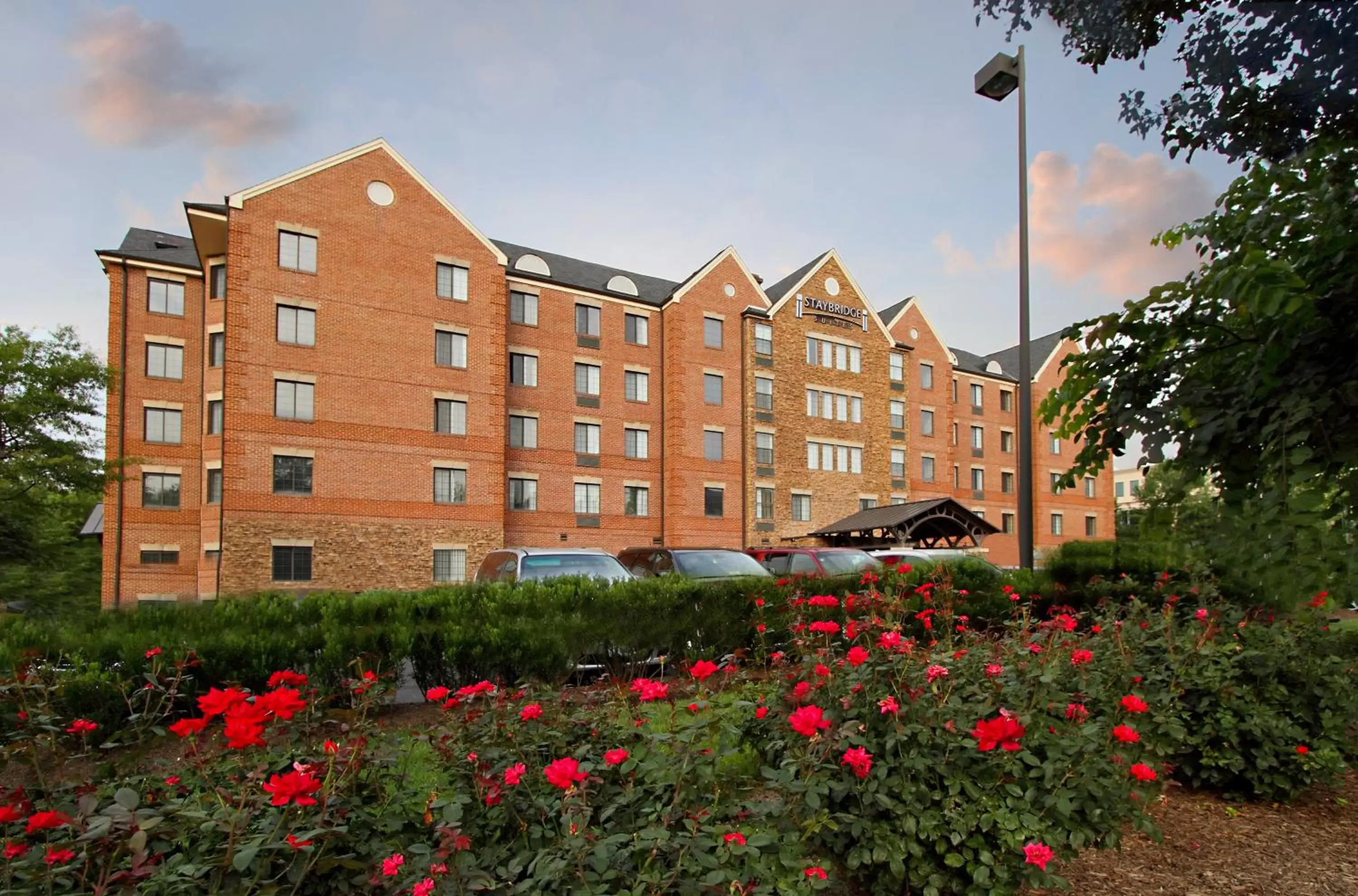 Property building in Staybridge Suites Tysons - McLean by IHG Property building in Staybridge Suites Tysons - McLean by IHG