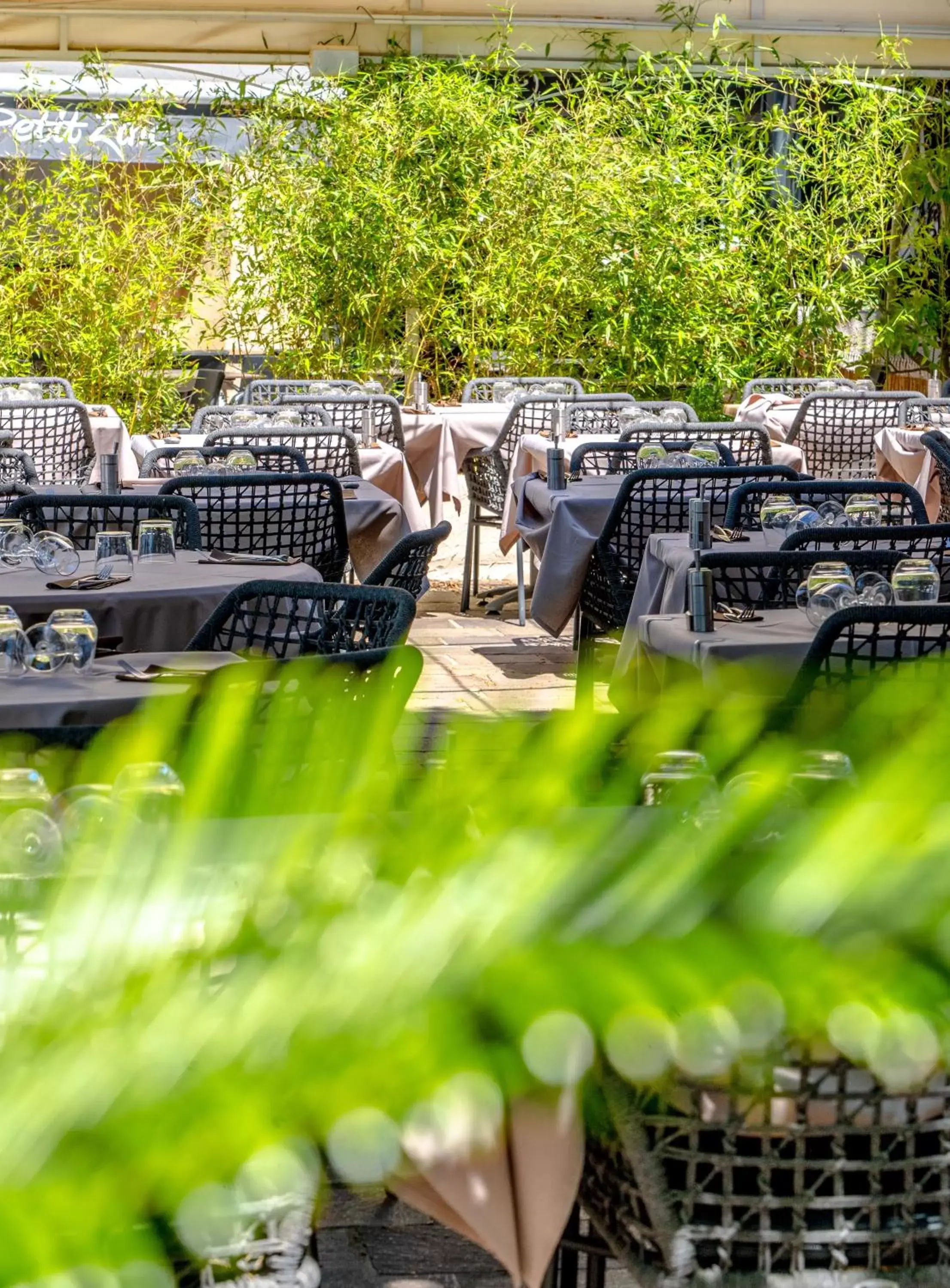 Patio in Hotel Les Palmiers