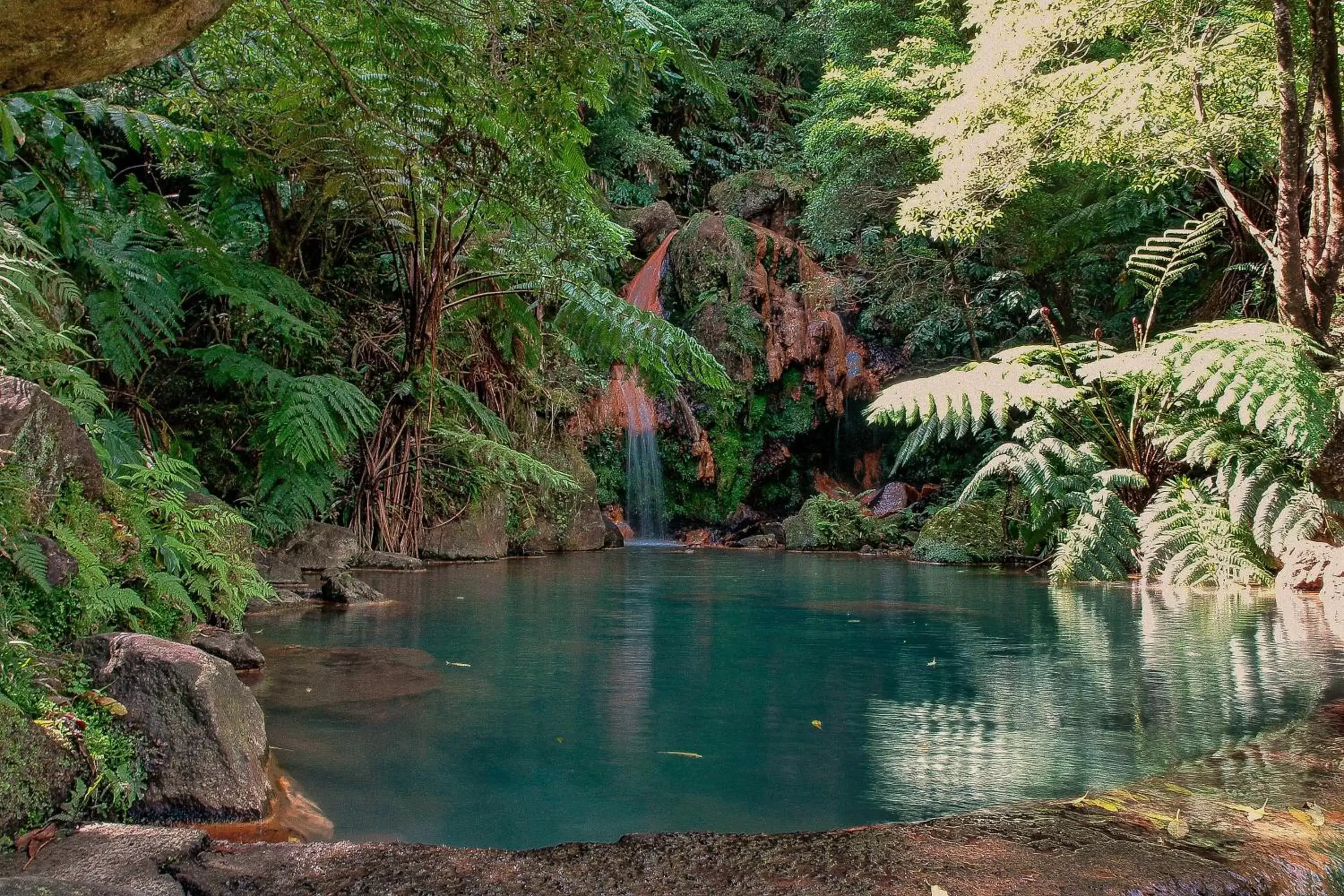 Natural Landscape in Hotel Verde Mar & SPA