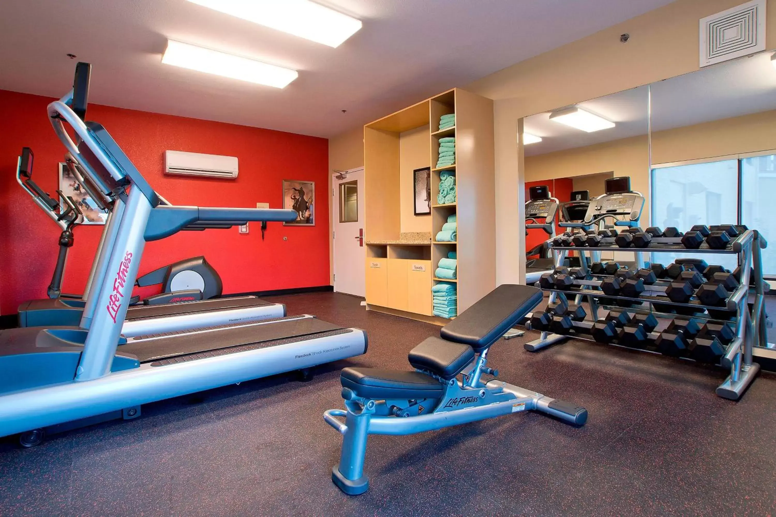 Fitness centre/facilities, Fitness Center/Facilities in TownePlace Suites by Marriott Garden City