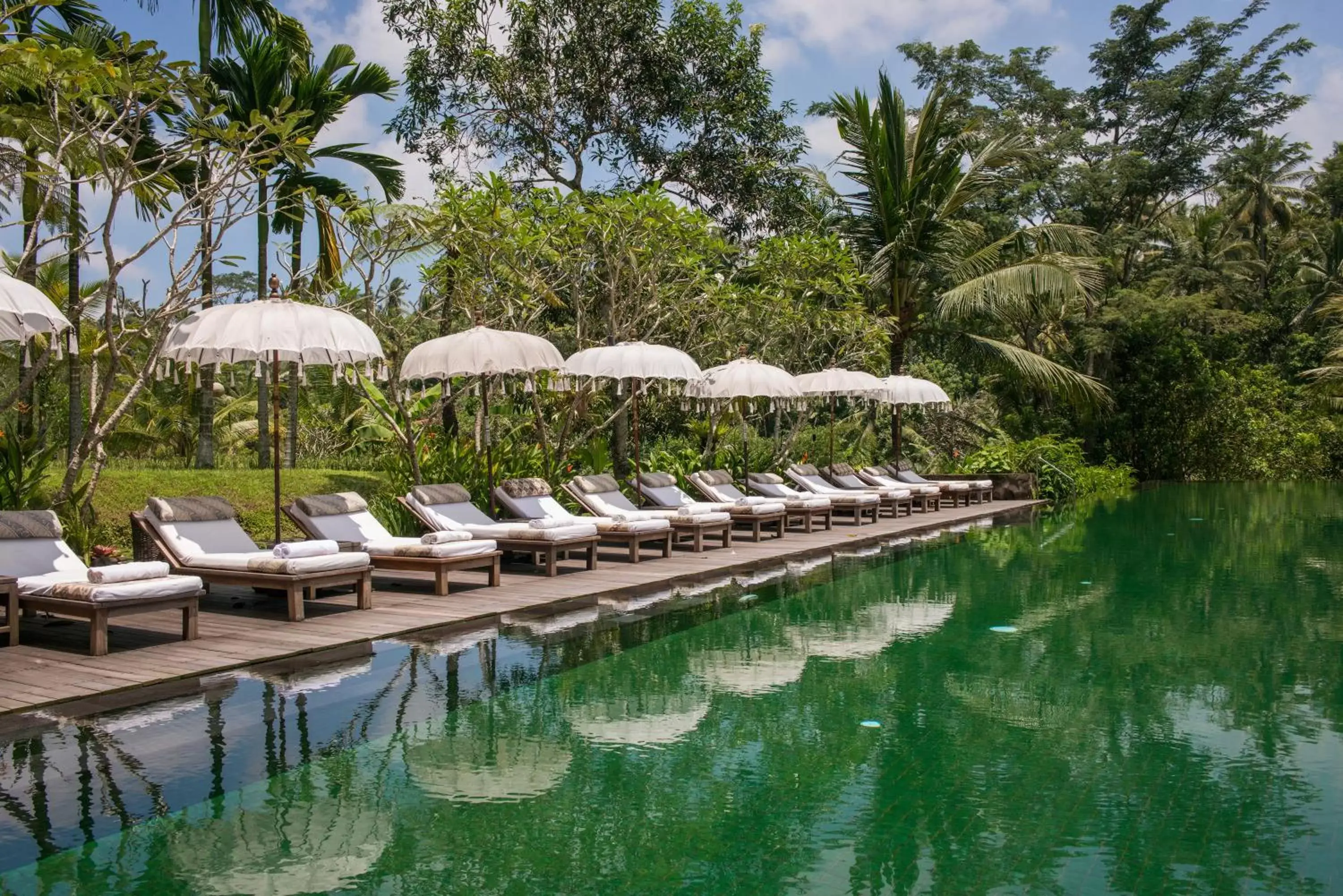 Swimming Pool in Komaneka at Bisma Ubud