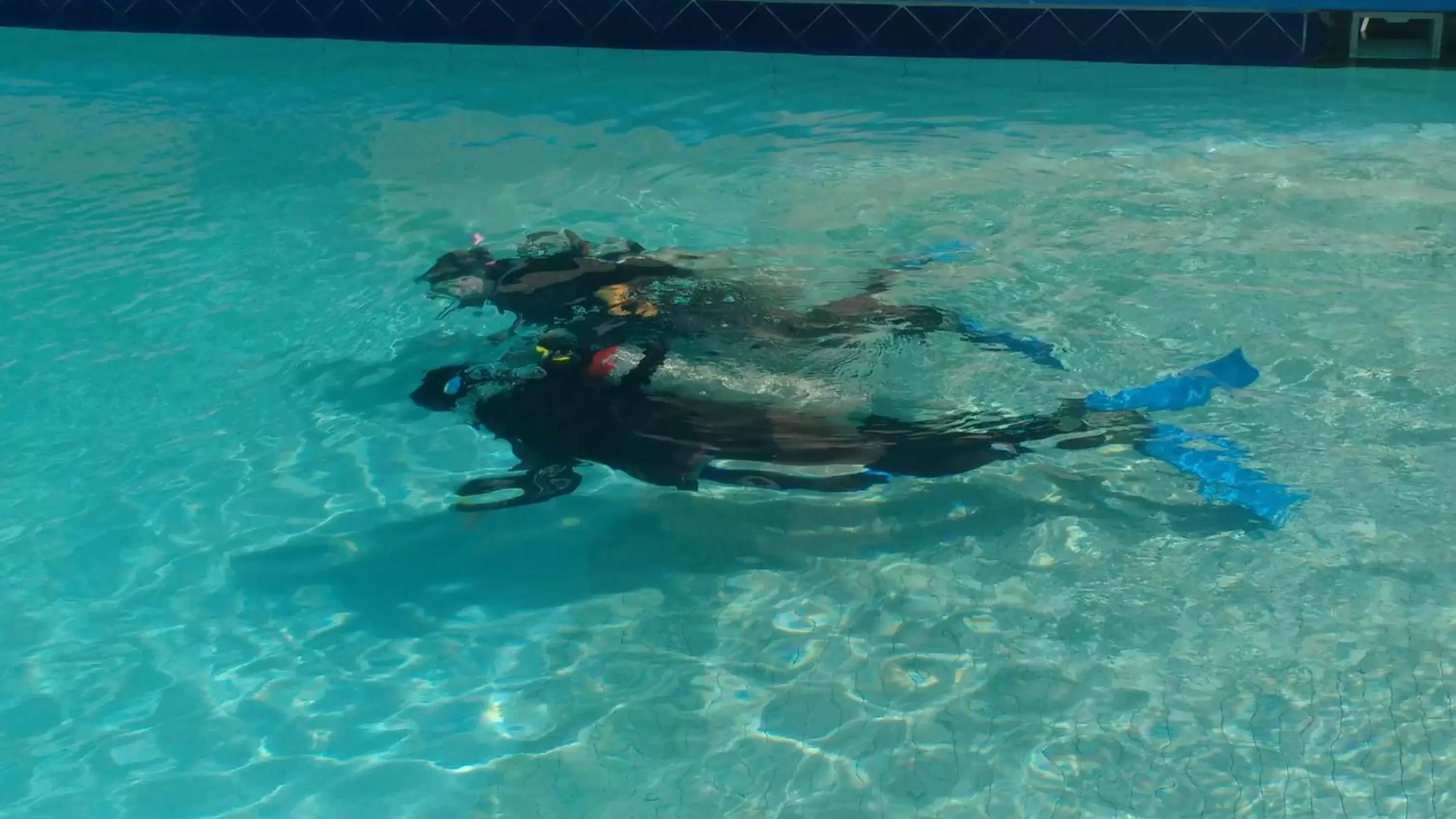 Diving in Club Hotel Cantamar by the Beach