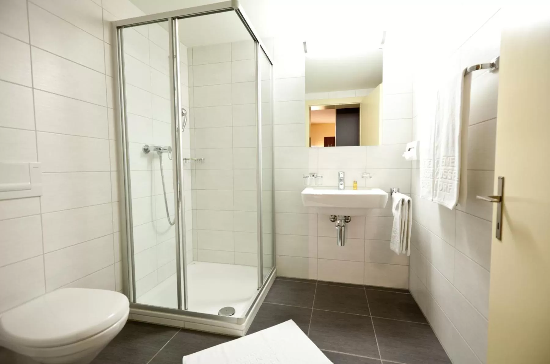 Double Room in Hotel Restaurant Goldener Schlüssel