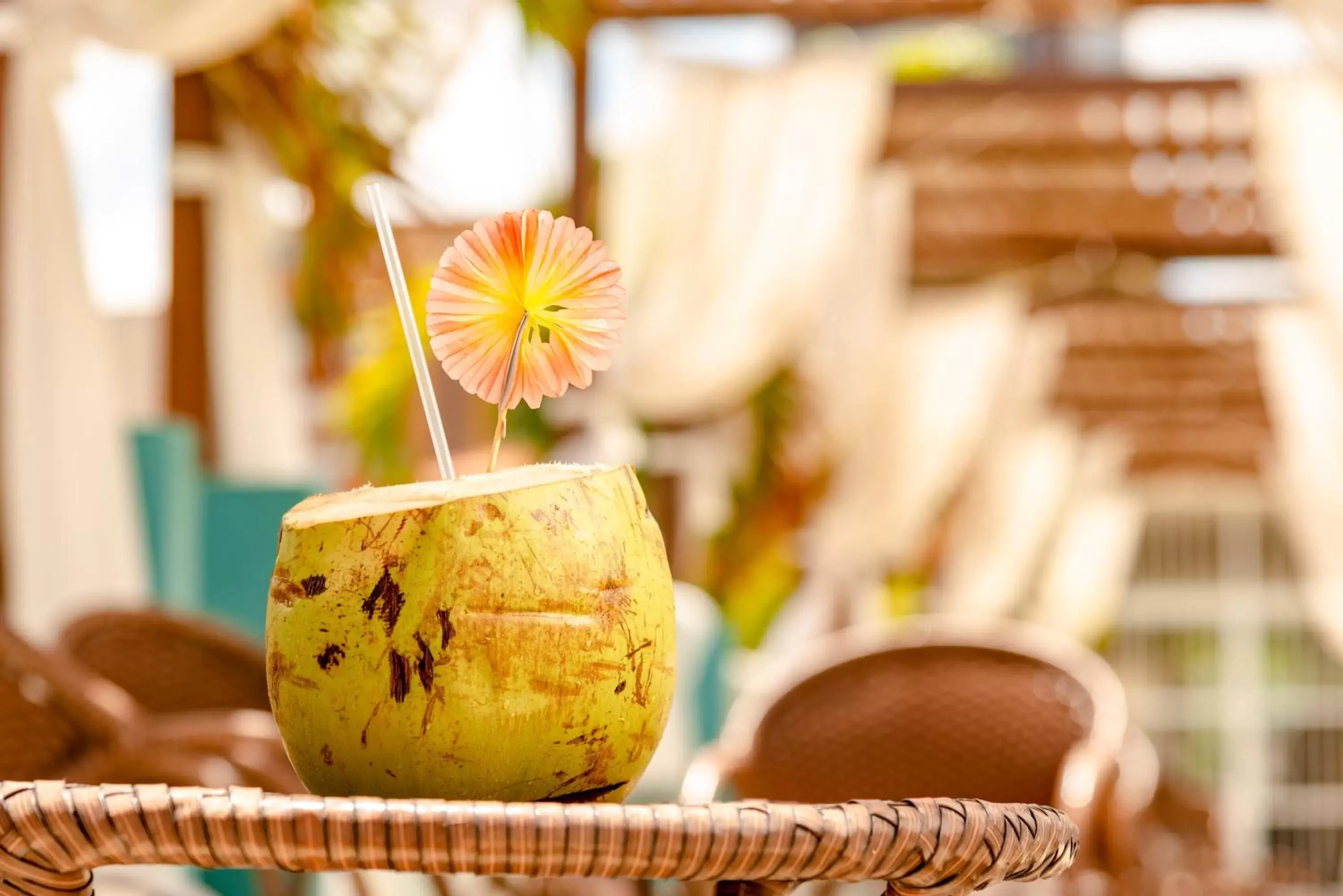 Food and drinks in Oasis Imperial & Fortaleza Food and drinks in Oasis Imperial & Fortaleza