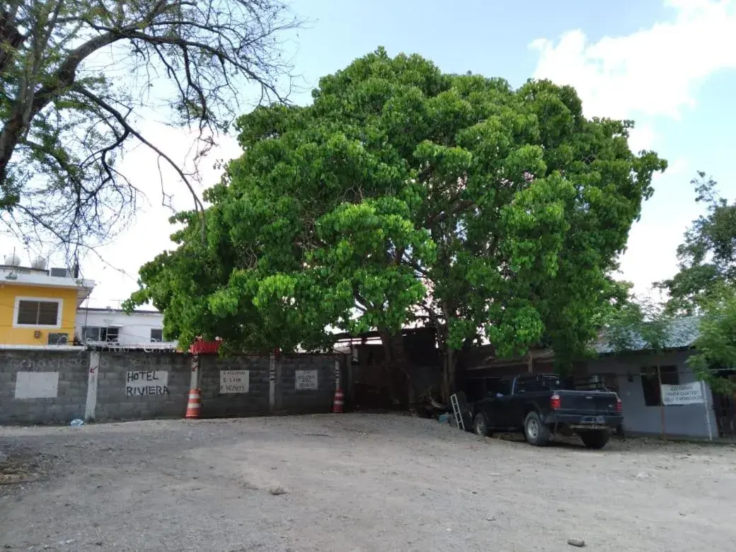 Parking, Property Building in Hotel Riviera