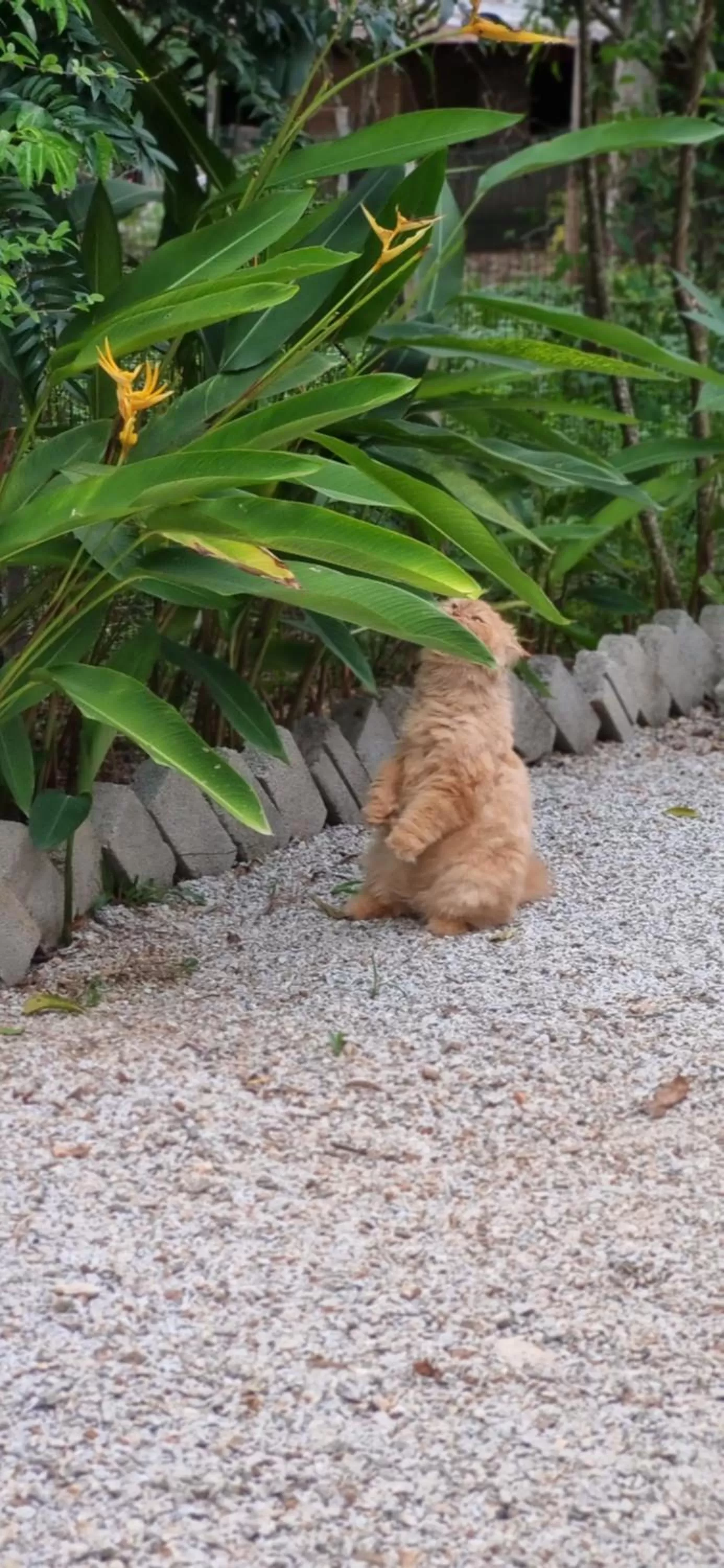 Seven Stones Langkawi