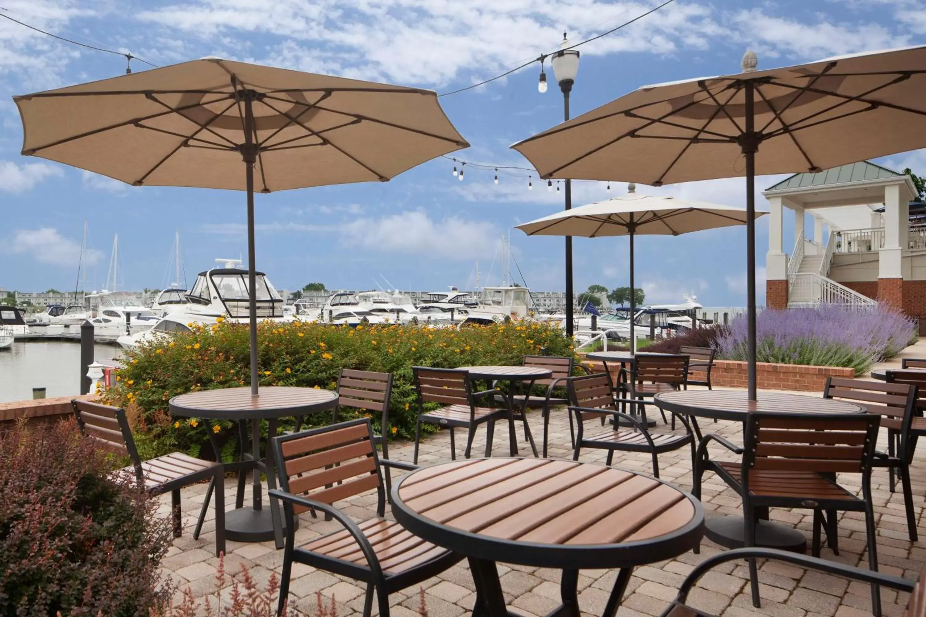 Patio, Restaurant/Places to Eat in Hilton Garden Inn Kent Island