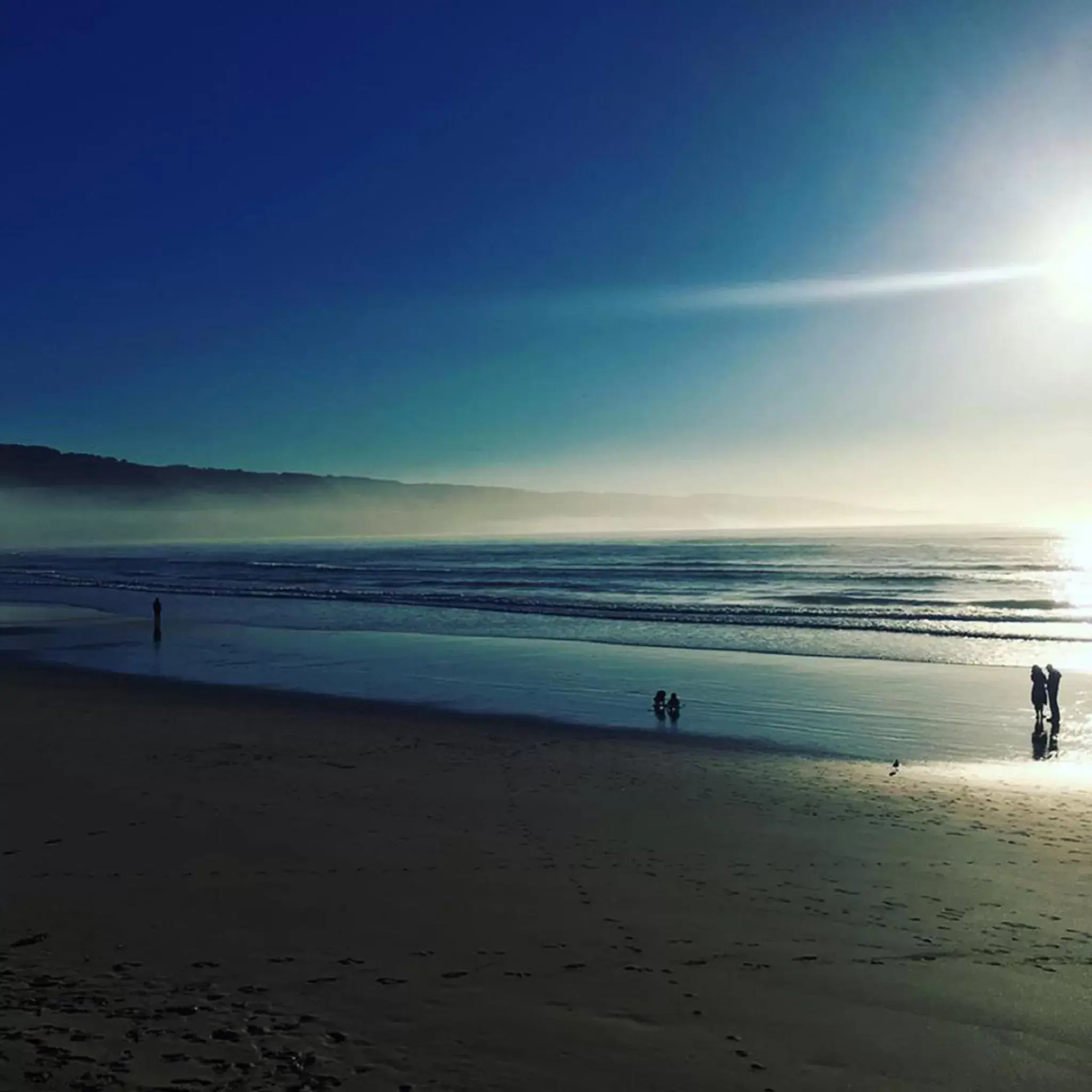 Beach in The Dolphin Apartments