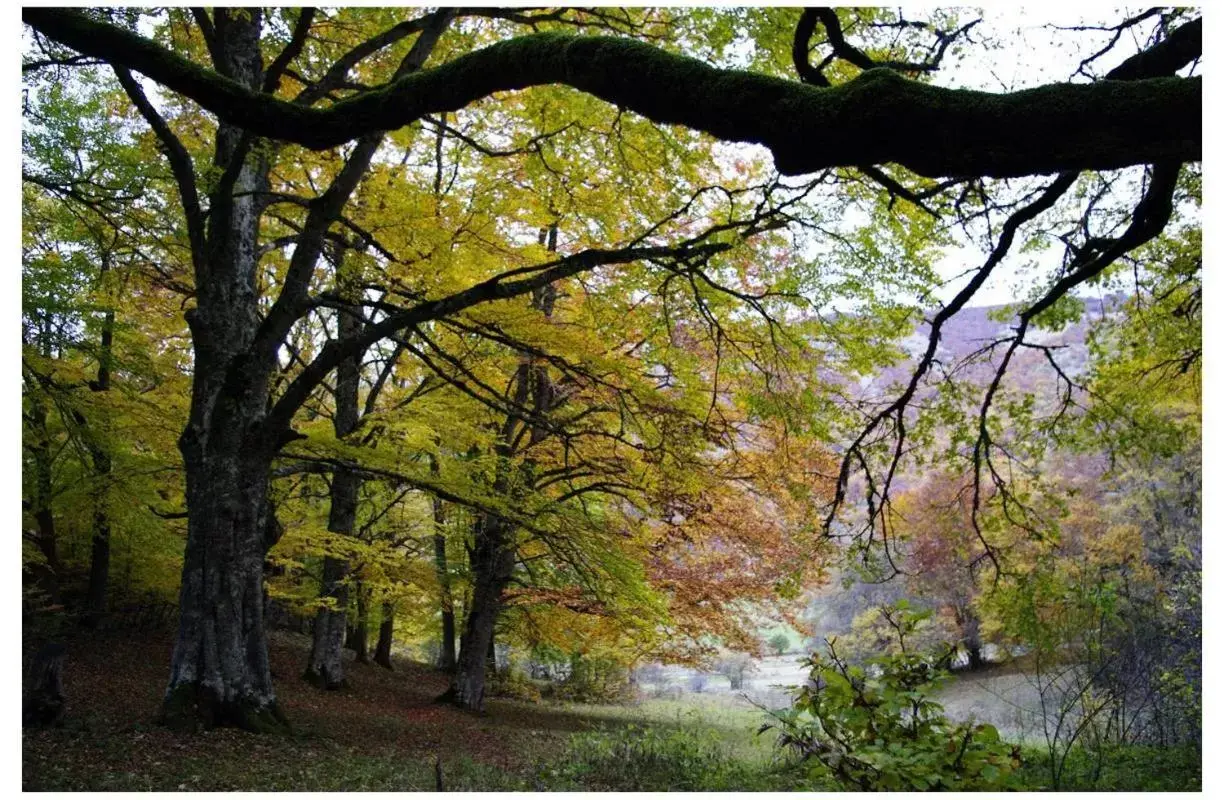 Natural landscape in Casa Nostra