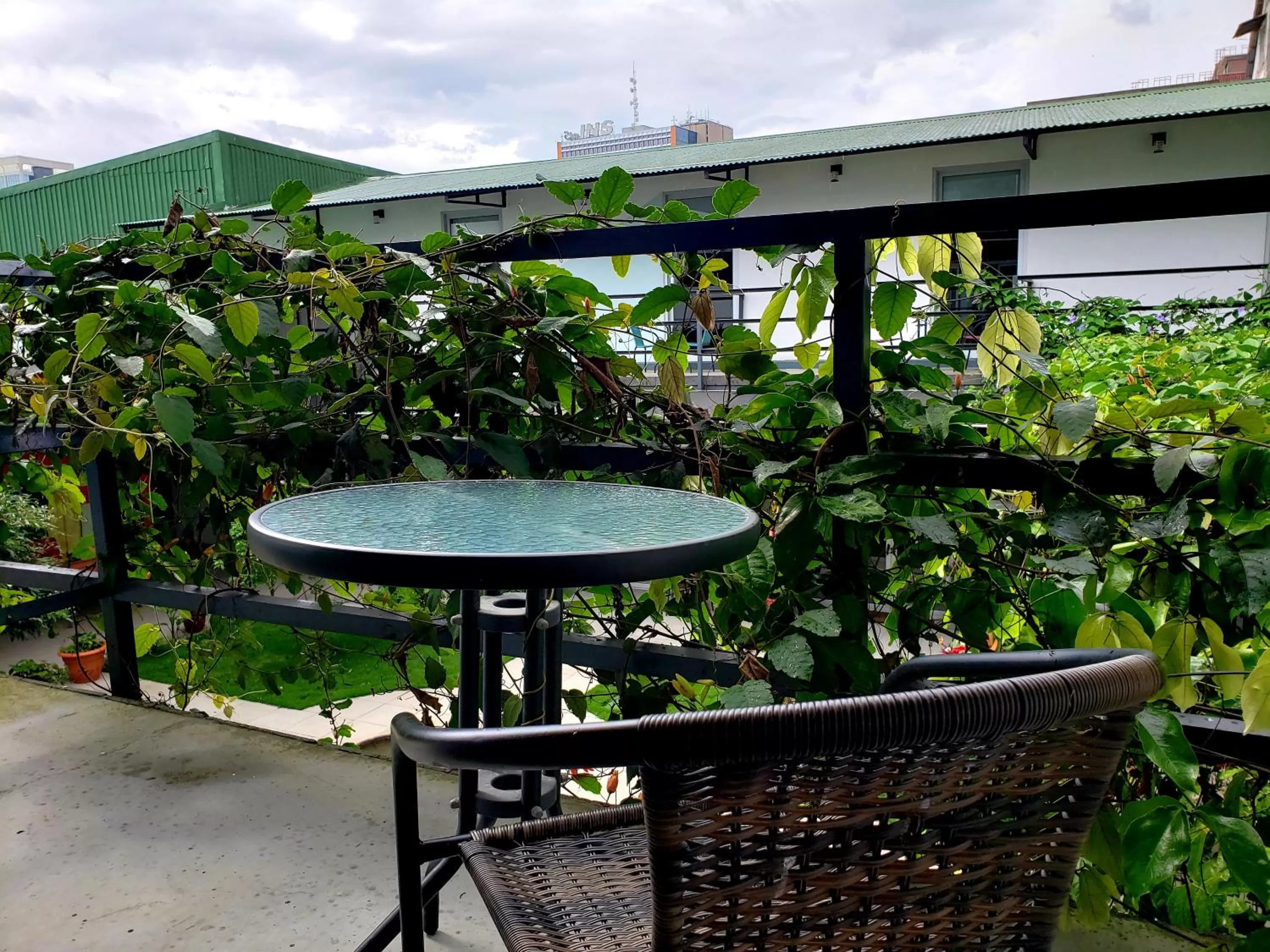 Single Room in Cando Living Apartments in Central Avenue