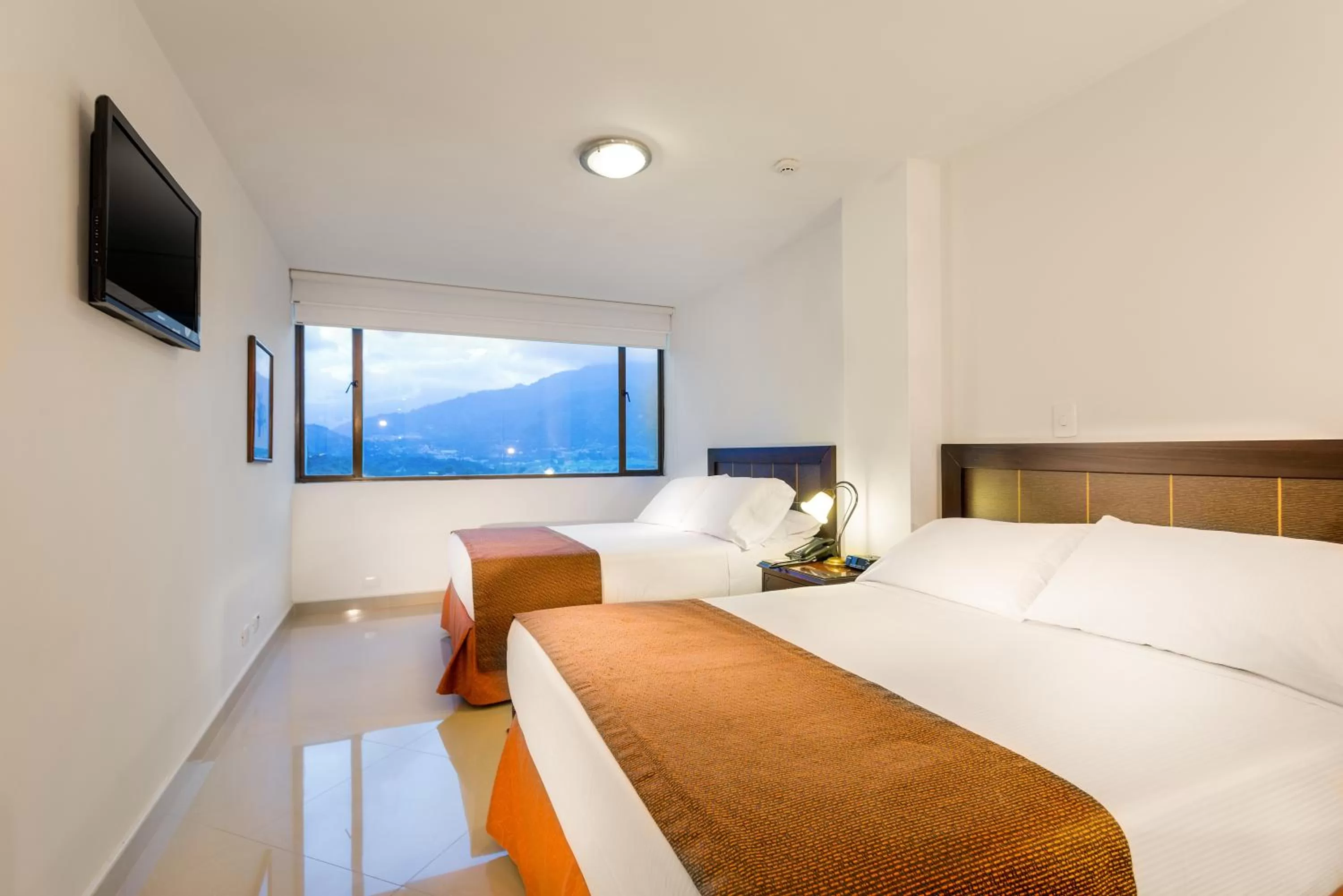 Bed in Hotel Dann Combeima