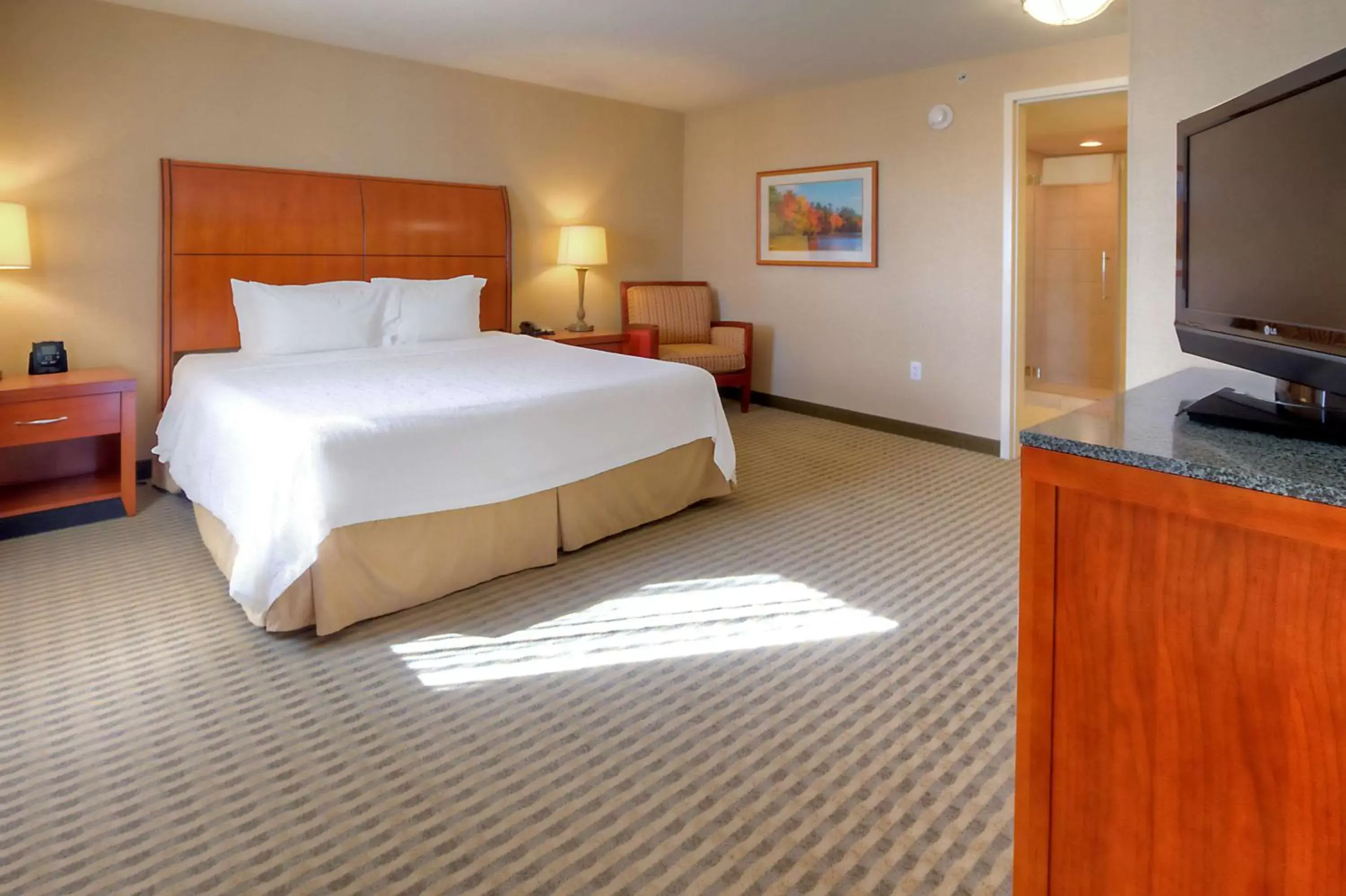 Bed in Hilton Garden Inn Great Falls