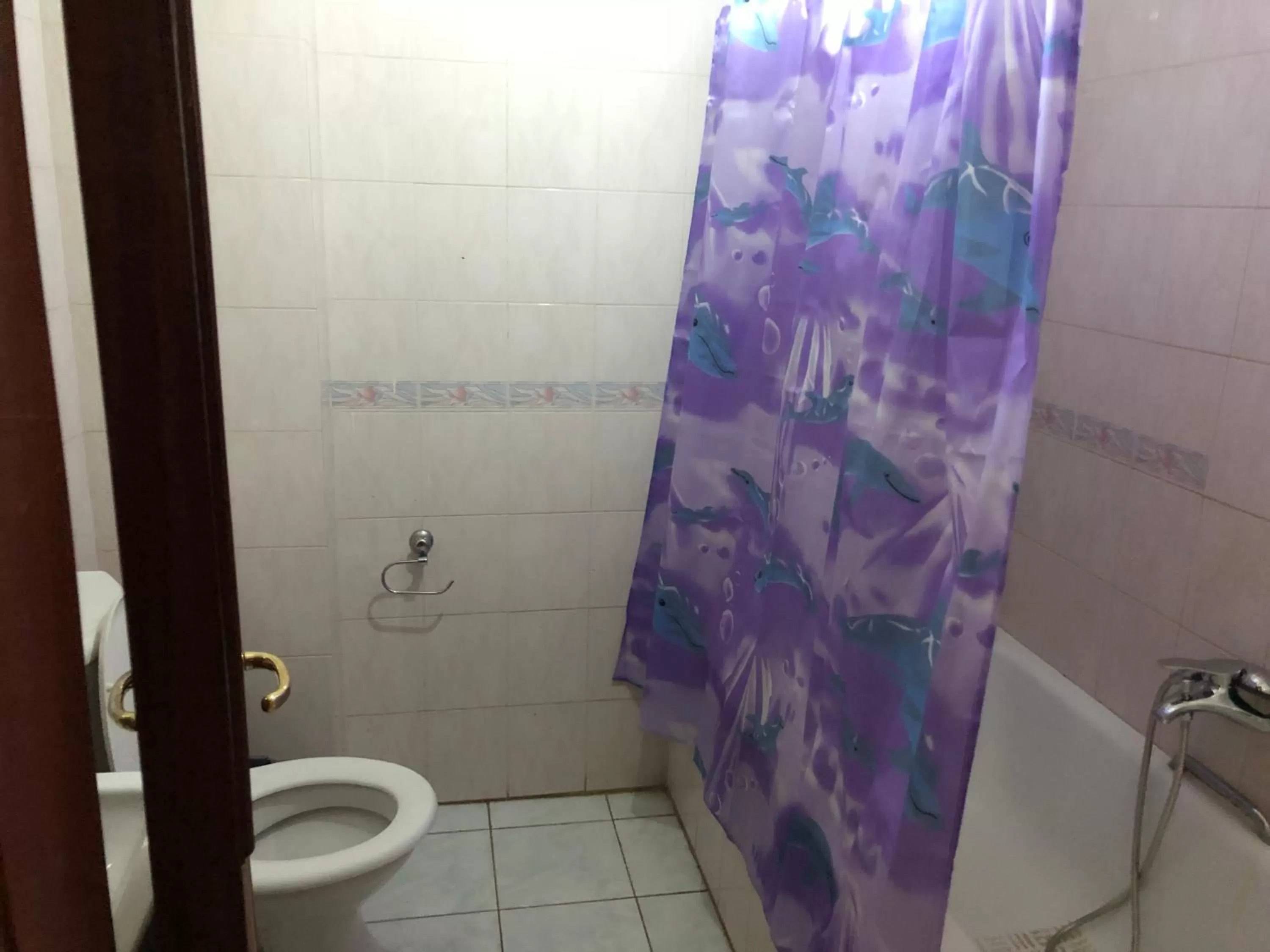 Bathroom in Maple Leaf Korean Hotel